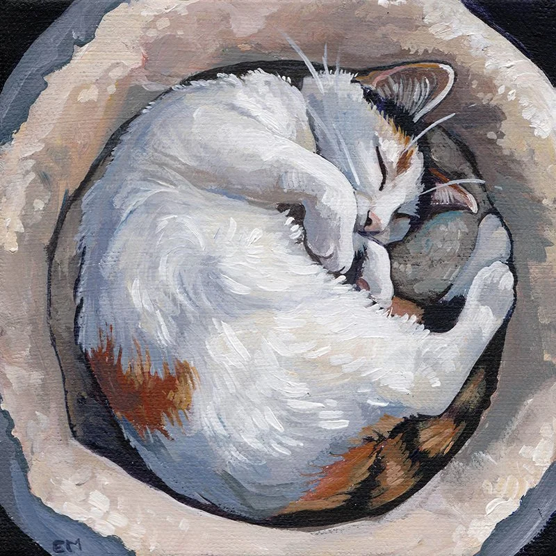 lily nap.jpg