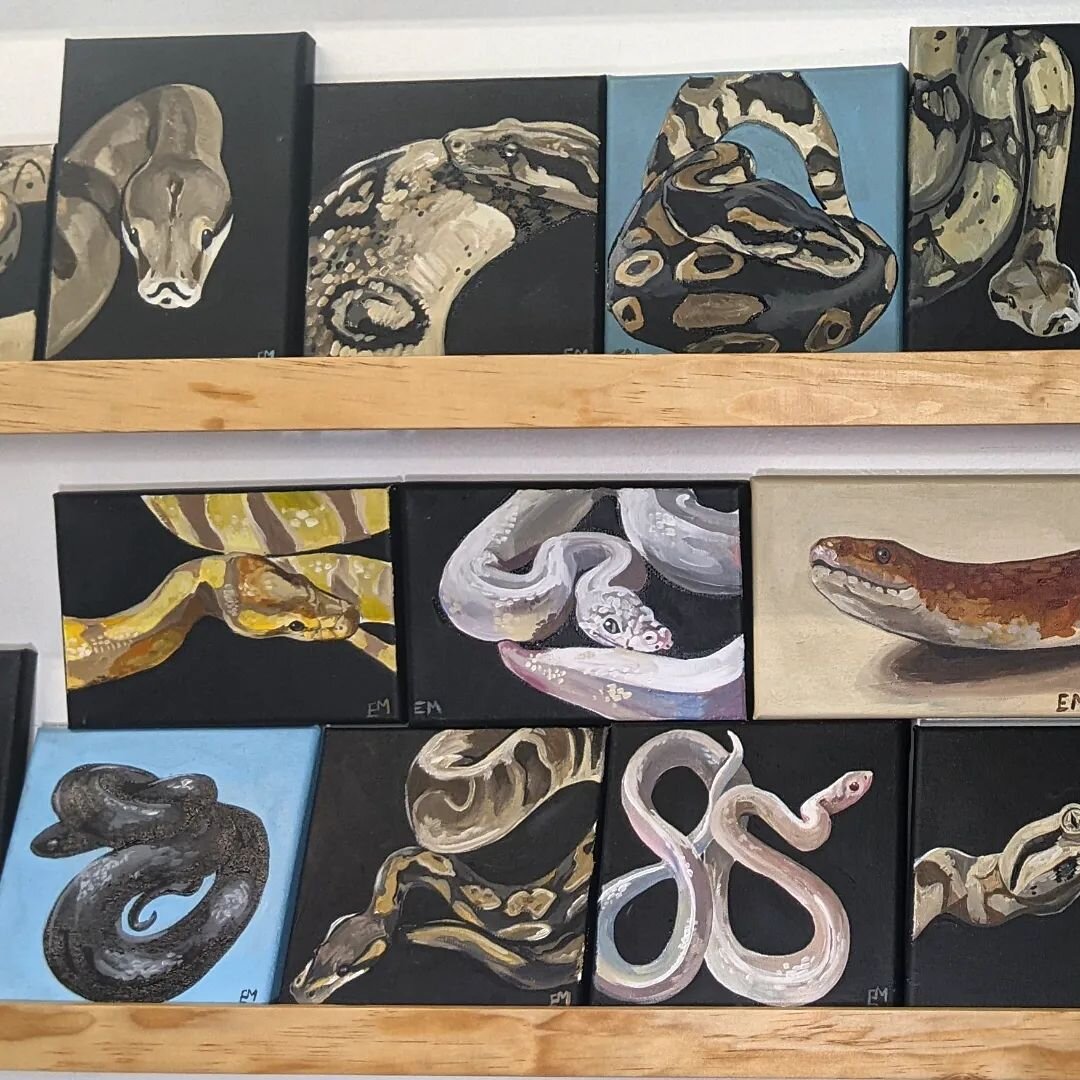 This week the studio underwent &quot;The Great Snakening&quot; - 40 snake paintings 6x6&quot; and 5x7&quot; done in one week. 😵😴 This was definitely a learning experience, and while I have sworn off making snakes at this volume ever again, I've cer