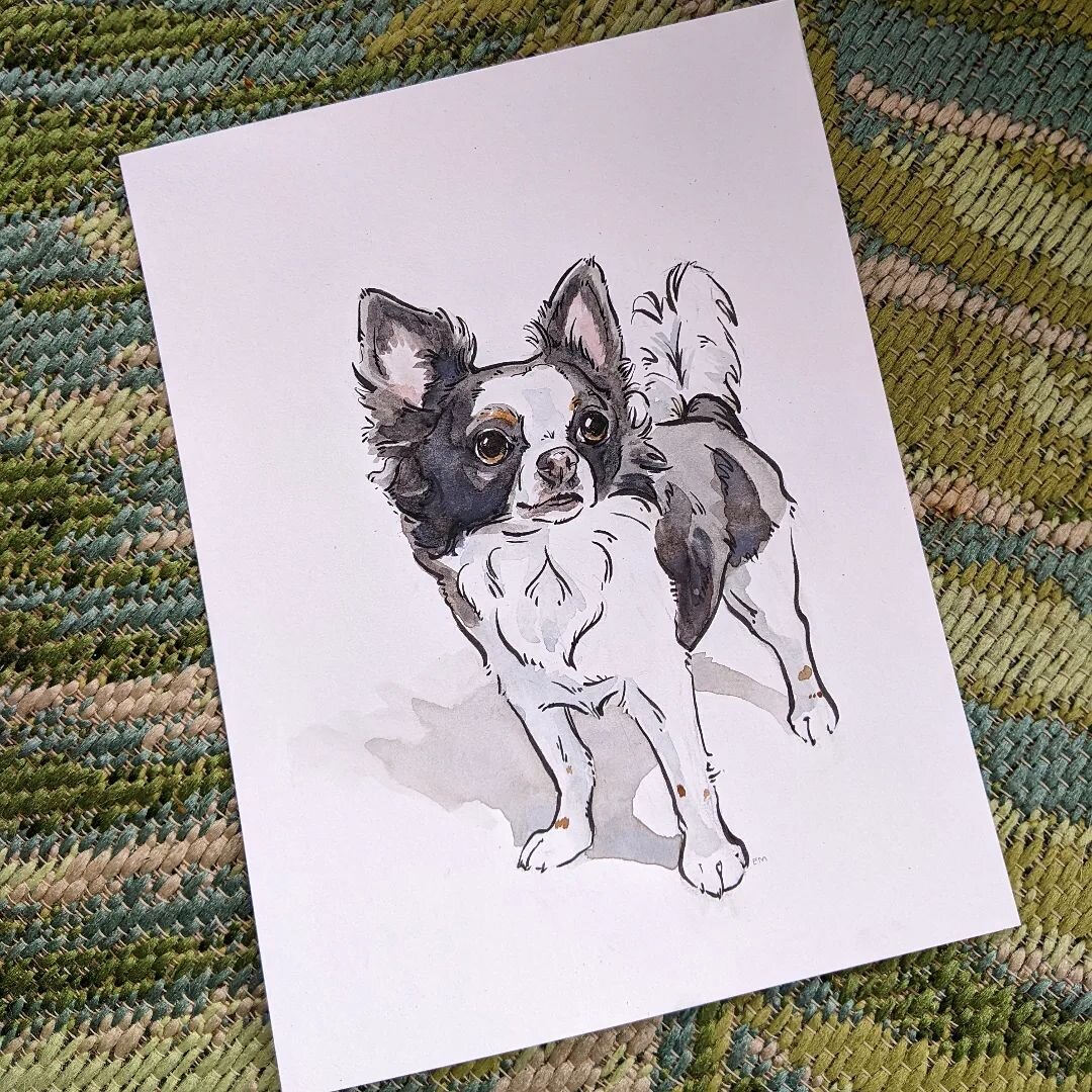 Yesterday's #arteverydayinmay ! Before the heat set in for the day, I went out on a bike ride with my husband and we saw not one but 6 Chihuahuas over the course of our day out. Naturally, the watercolor for the day had to be one as well!

#dailyart 