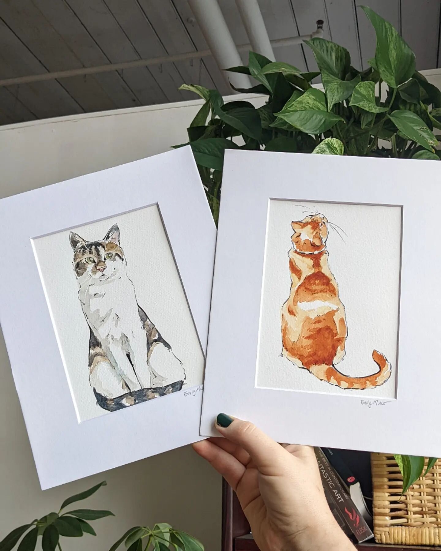 Some feline friends to add to the watercolor collection! What pet should I do next?

Both of these friends are for sale to a good home! (And many more as well!) Follow the link to my Etsy shop in my bio to find out more 🐈✨

#illustration #watercolor