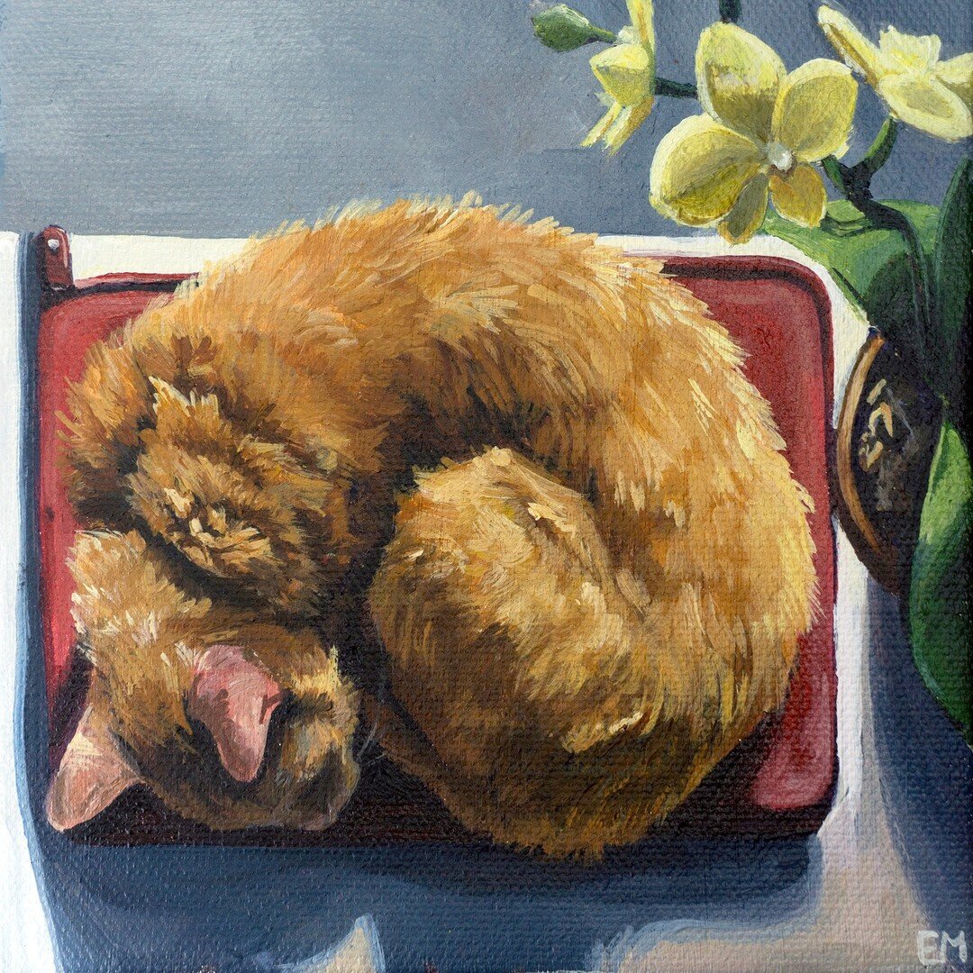 Meet Mr. Leo, who went home to his family a few weeks back. 🧡 
He is done in acrylic on 6x6&quot; canvas.

#catportrait #catart #petmemorial #memorialpainting #orangecat #tabbycat #catlover 
#illustration #artistoninstagram #petportrait #petportrait