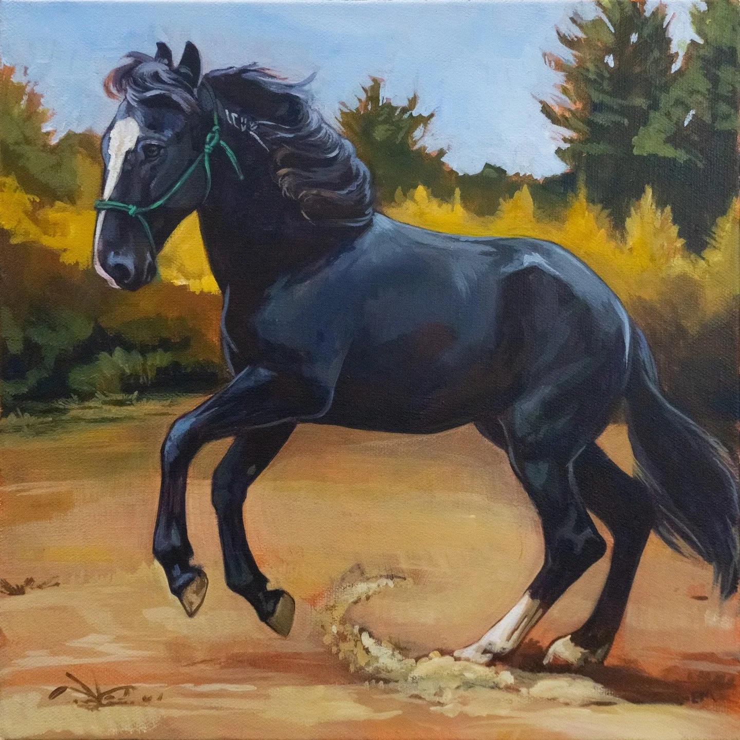 I can't help but keep making art of my girl Piper! This one's 12x12, acrylic on canvas.

Spending today getting ready for Open Studios! This Saturday and Sunday, from 12-5 at @westernavearts in Lowell!

#horseart #acrylicpainting #blmmustang #equestr