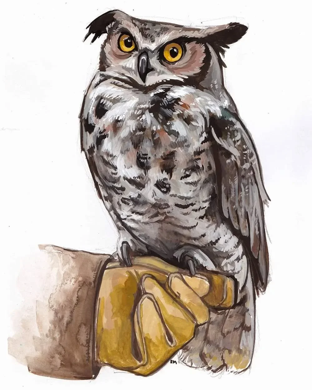 Happy Superb Owl Sunday to all! I know it's the day we've been looking forward to all year, I sure do!

Here's a few SuperbOwl facts (courtesy of InternationalOwlCenter.org):

- The oldest known Great Horned Owl (pictured here!) lived to 28 years of 