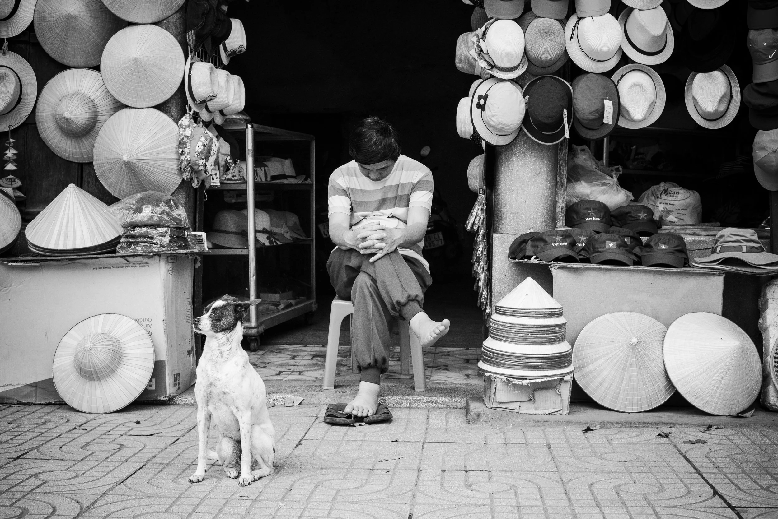 Viethai_29.jpg
