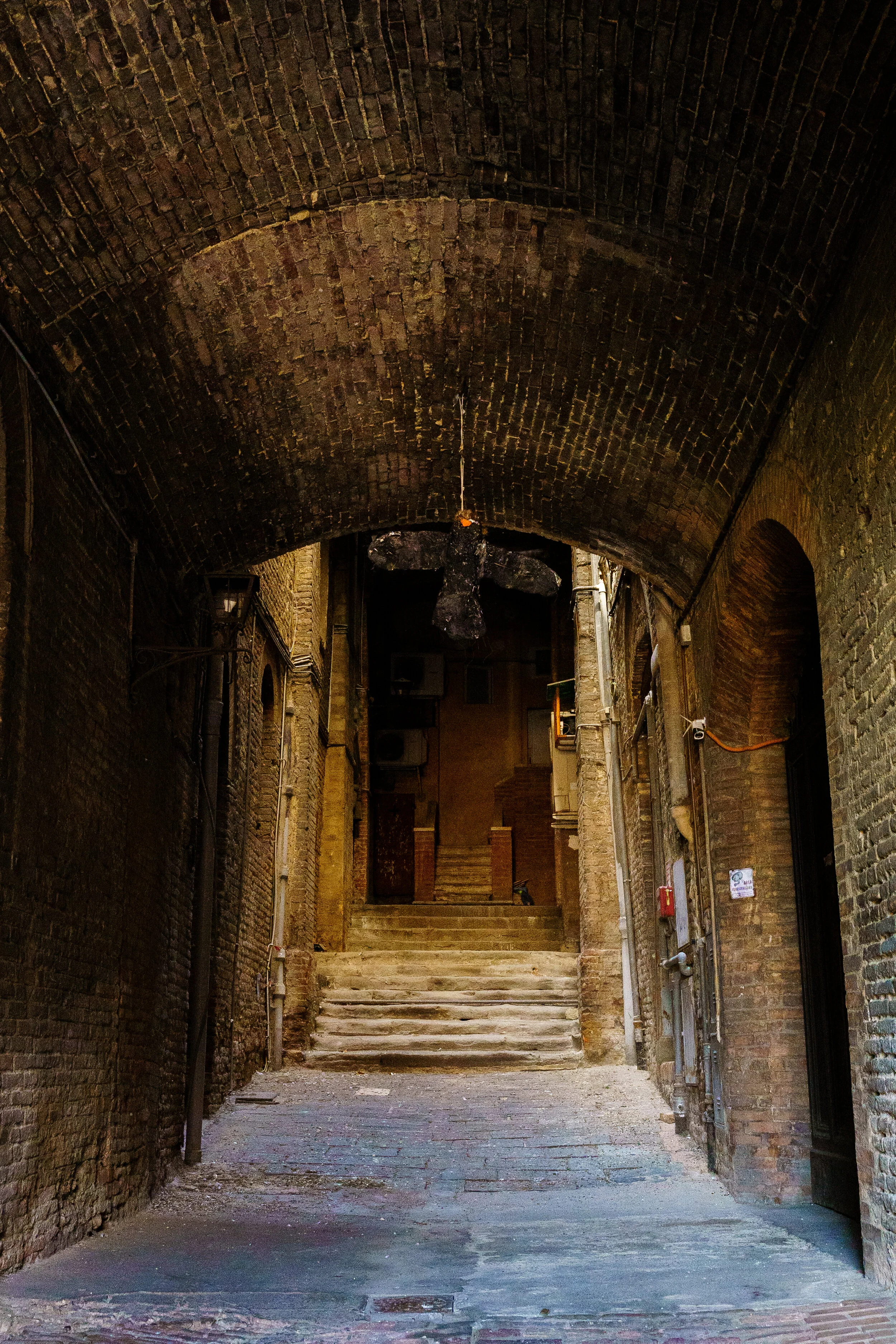 _DSC2009.jpg