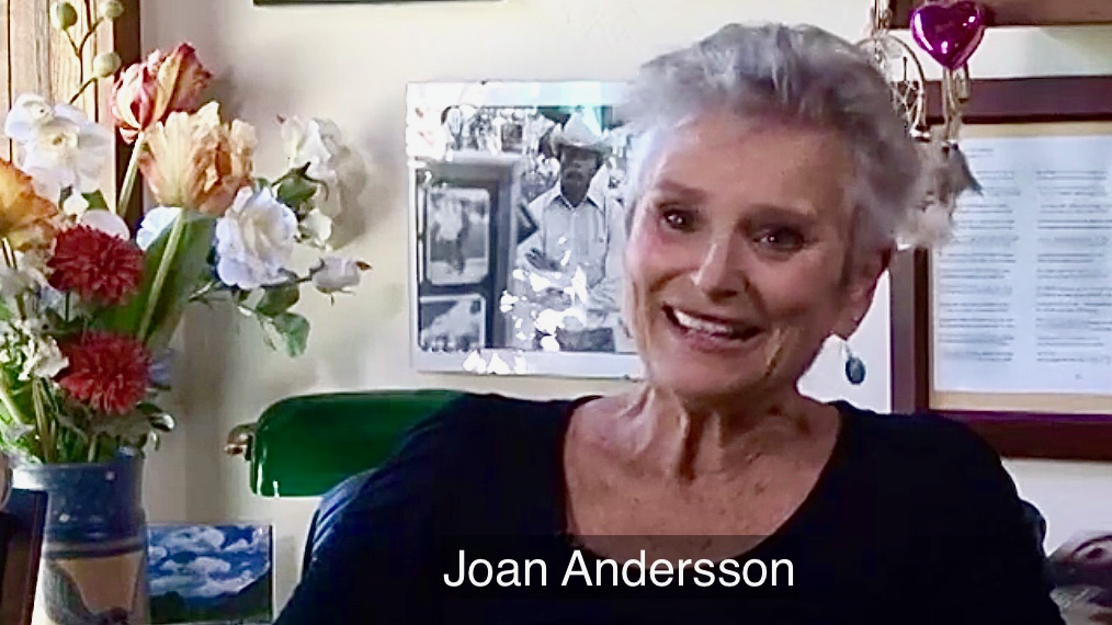 Joan Andersson (1).png