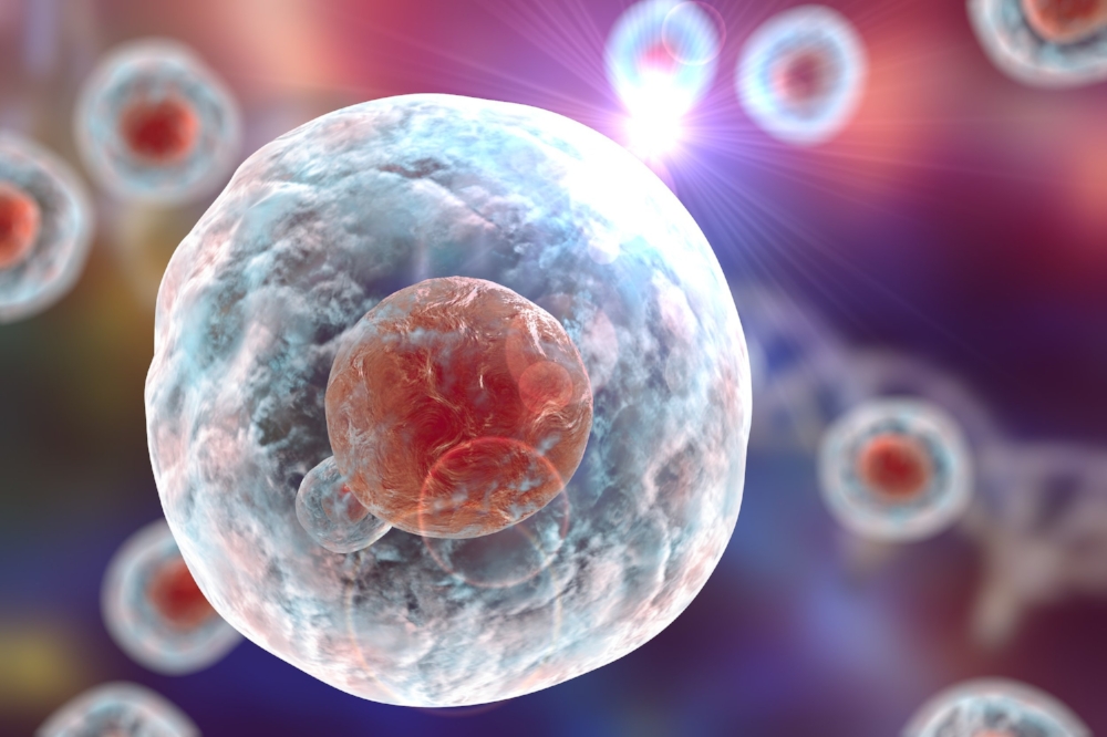 Immunecell.jpeg
