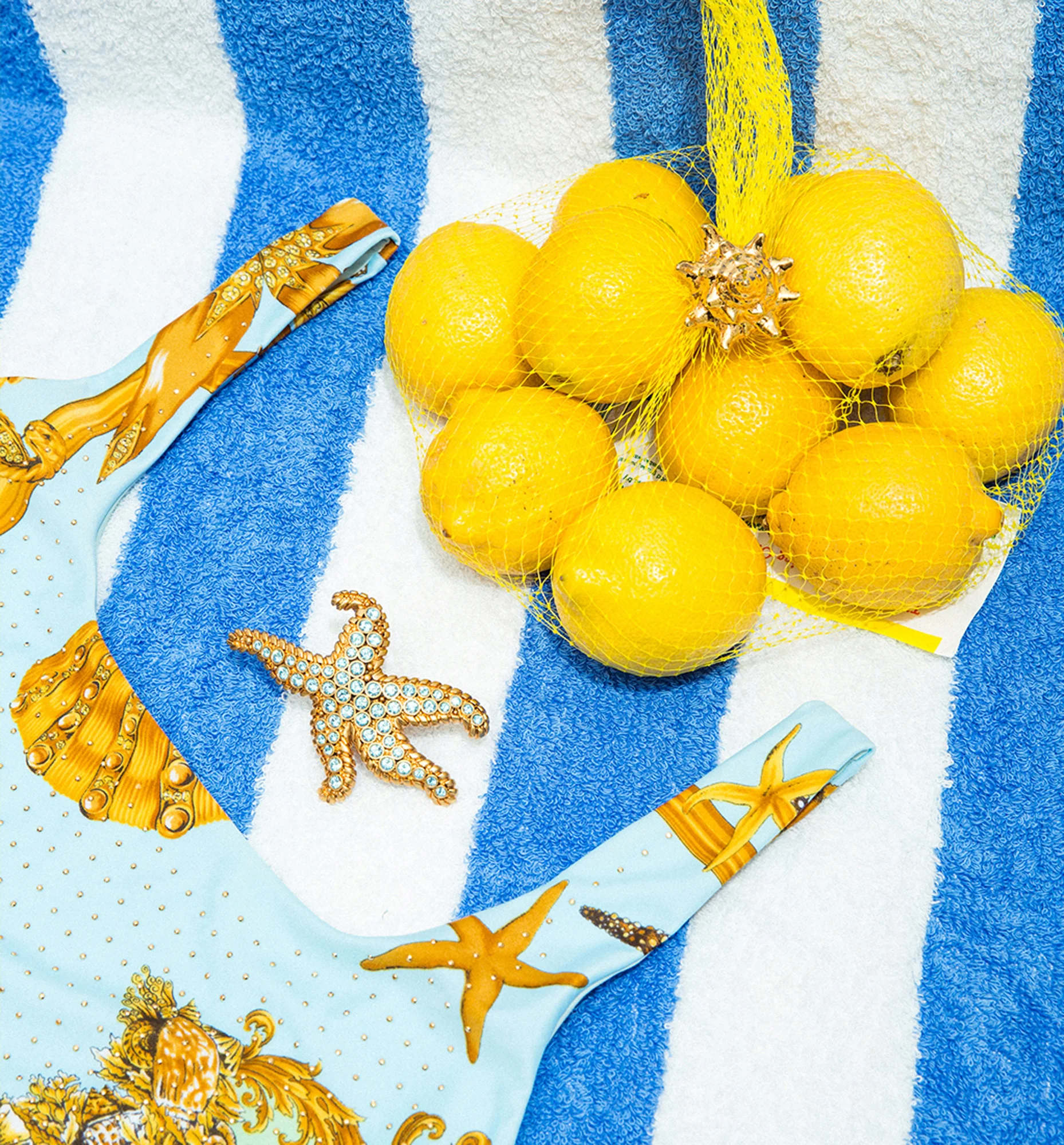 seashell_market_trend_1_a.jpg