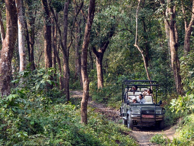   Chitwan National Park  