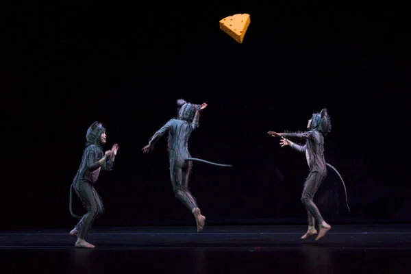 No Classes: Performance Break