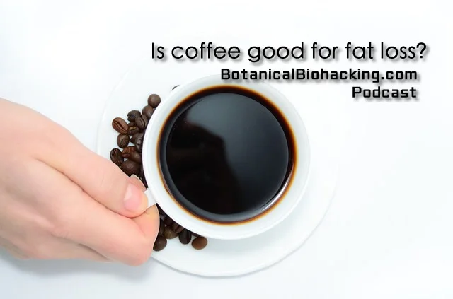a-cup-of-coffee-399478_640.jpg
