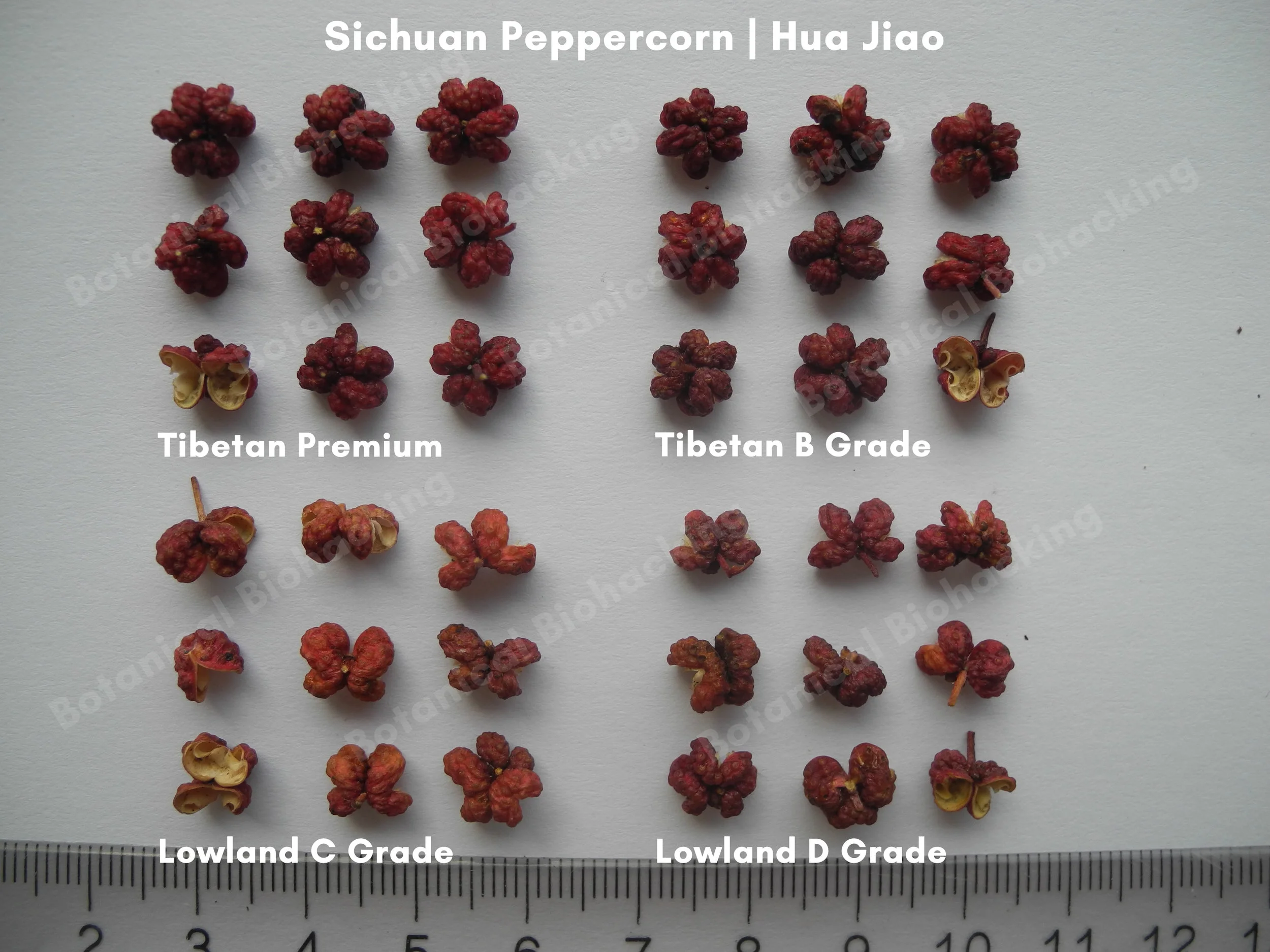 Hua Jia High vs low altitude.jpg