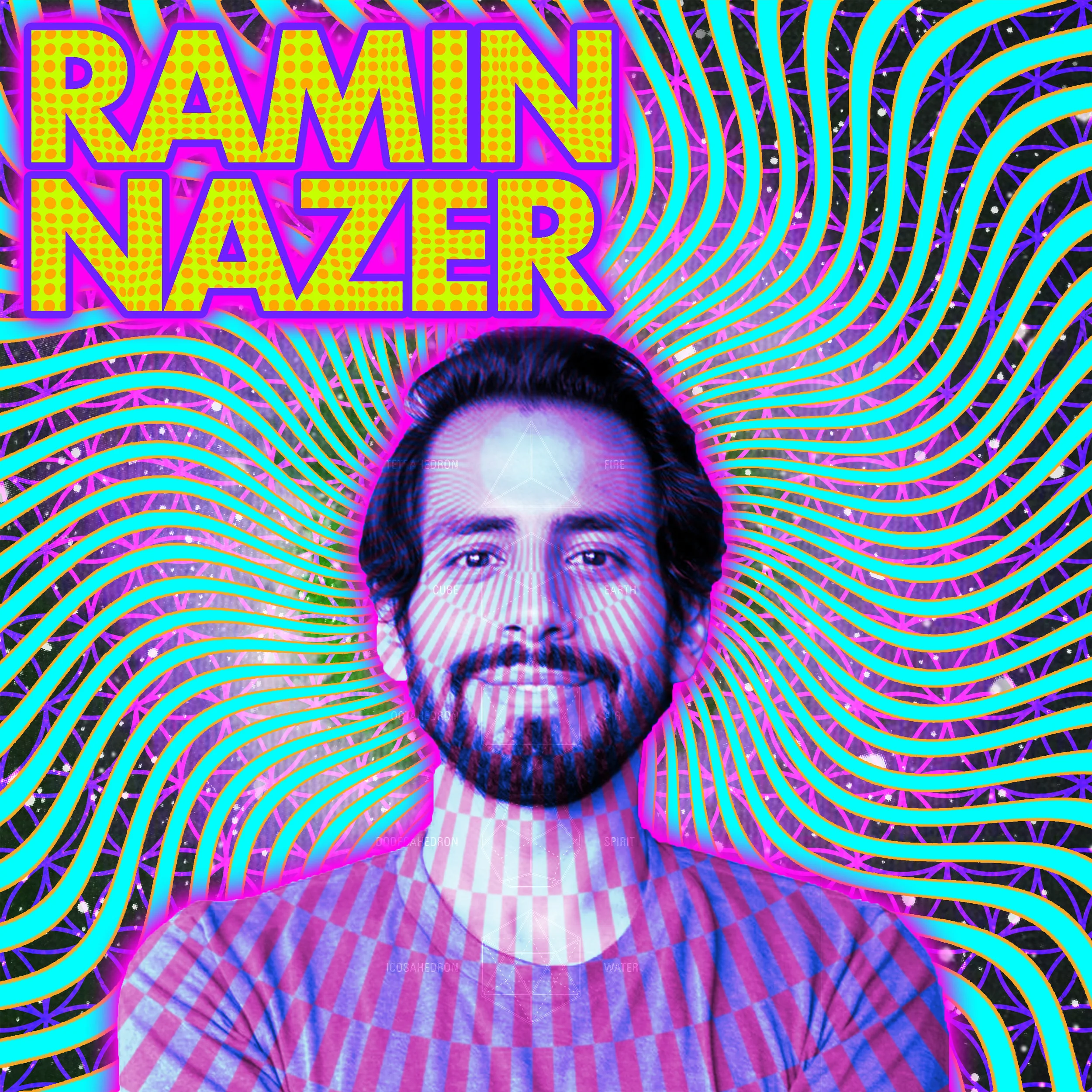 Ramin Nazer | The Call is Coming From Inside the House