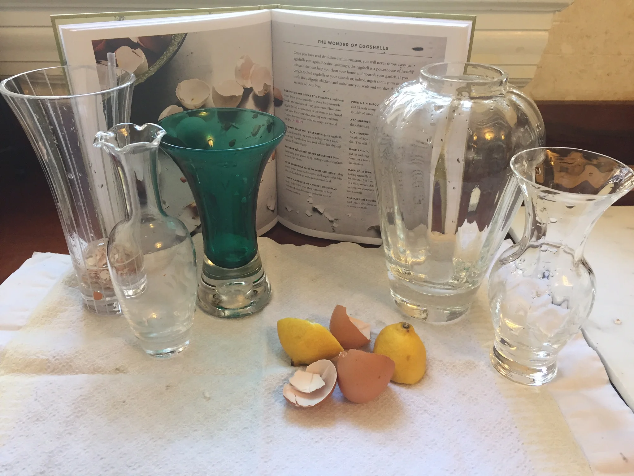 Tidbit Tuesday: Eggs and Lemons