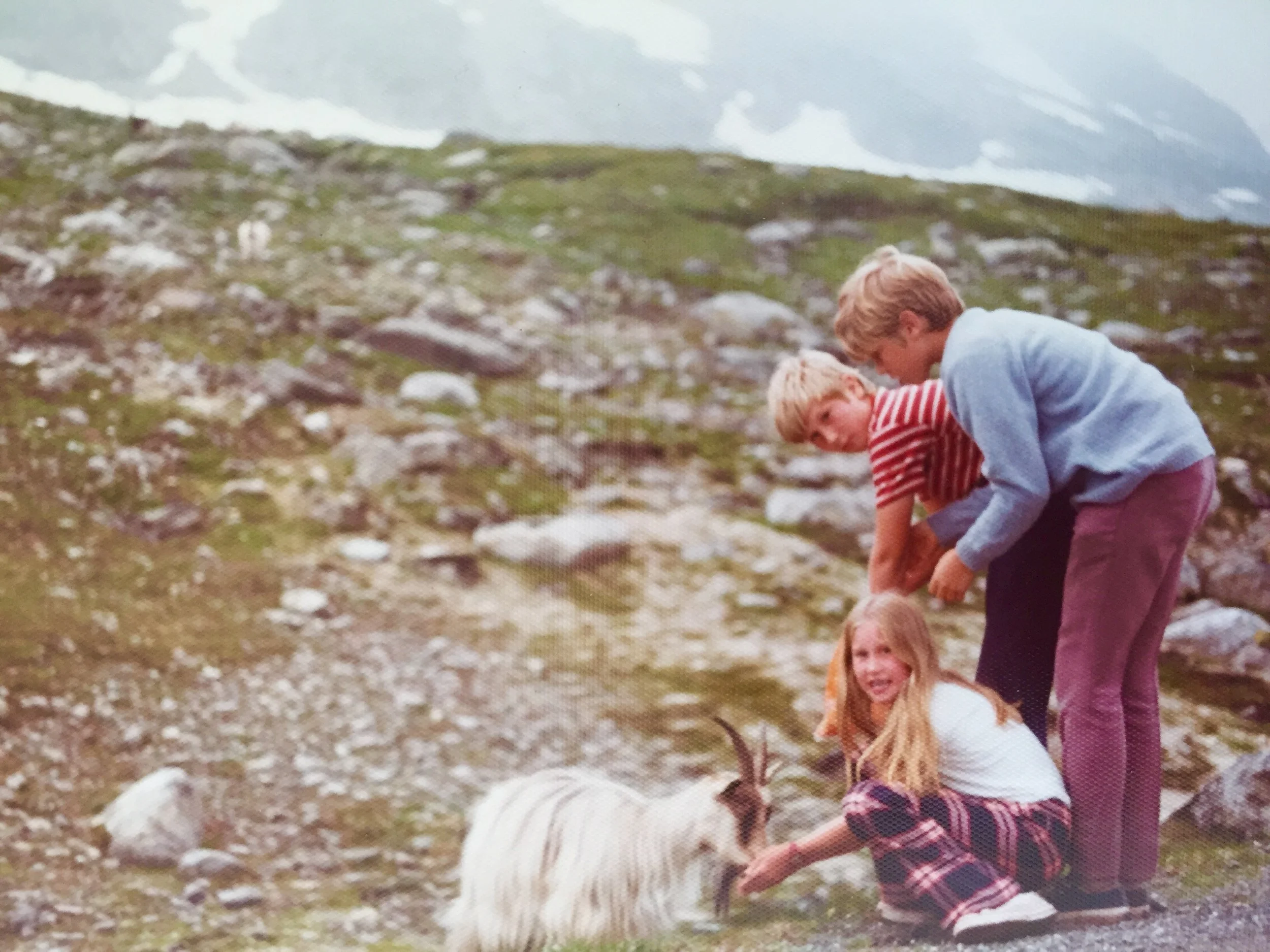 Looking at the Camera