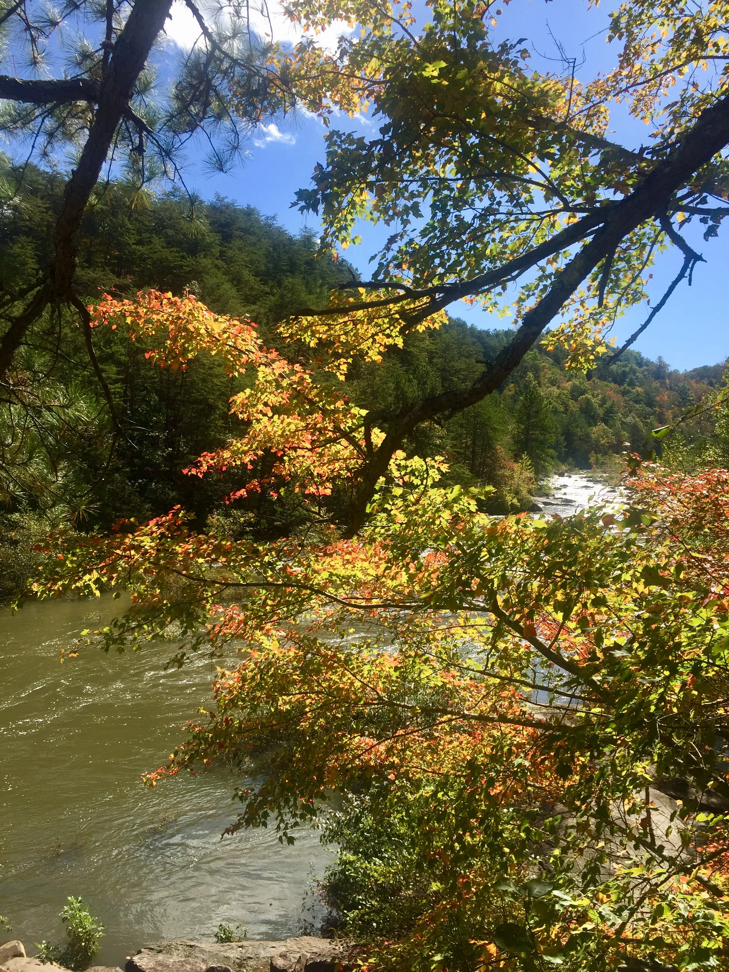Old Tennessee