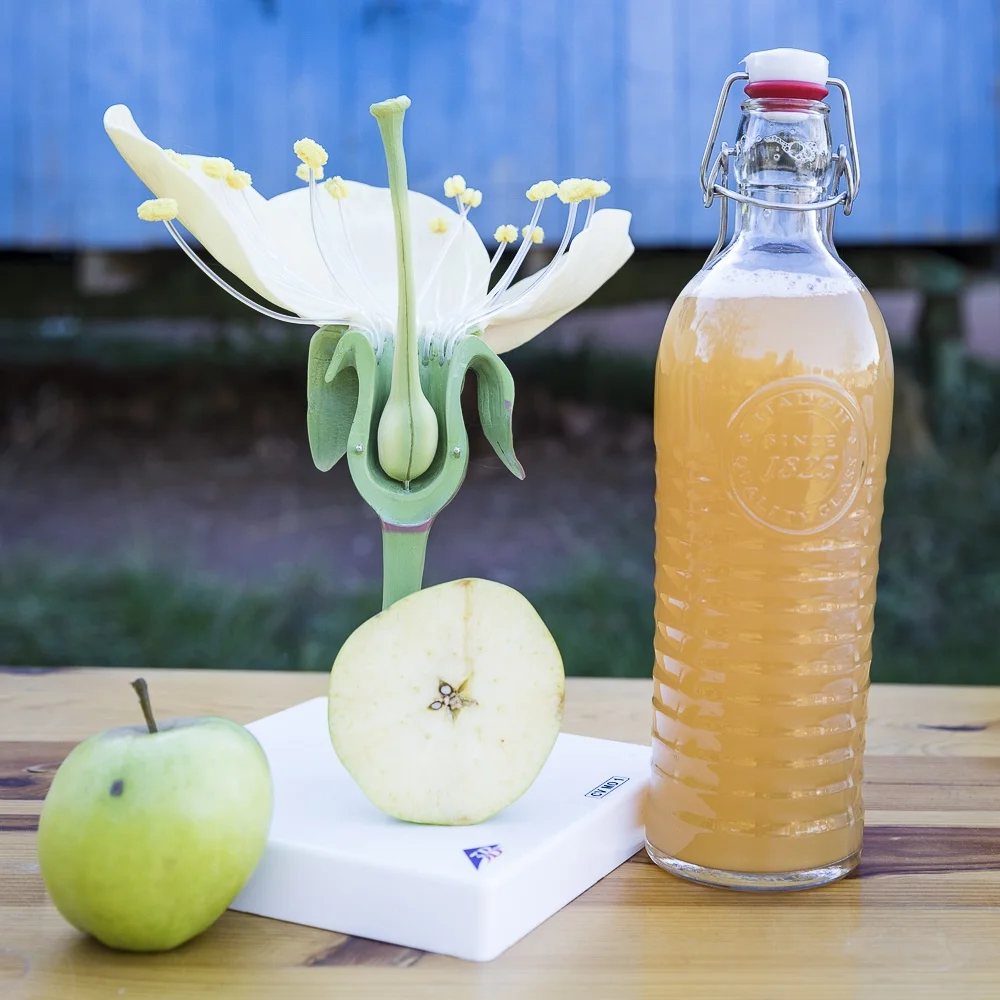 Kinderaktivität - Ecole du Goût : Rundum den Apfel mit allen S
