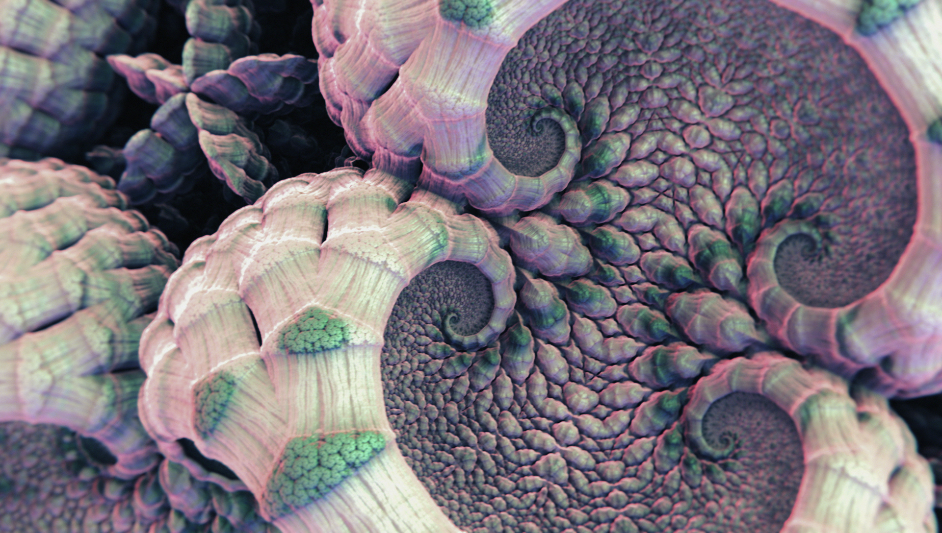 vlcsnap-2019-01-25-22h37m05s132.png