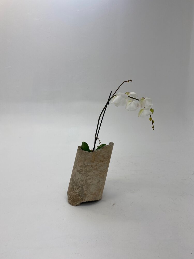 Concrete Planter