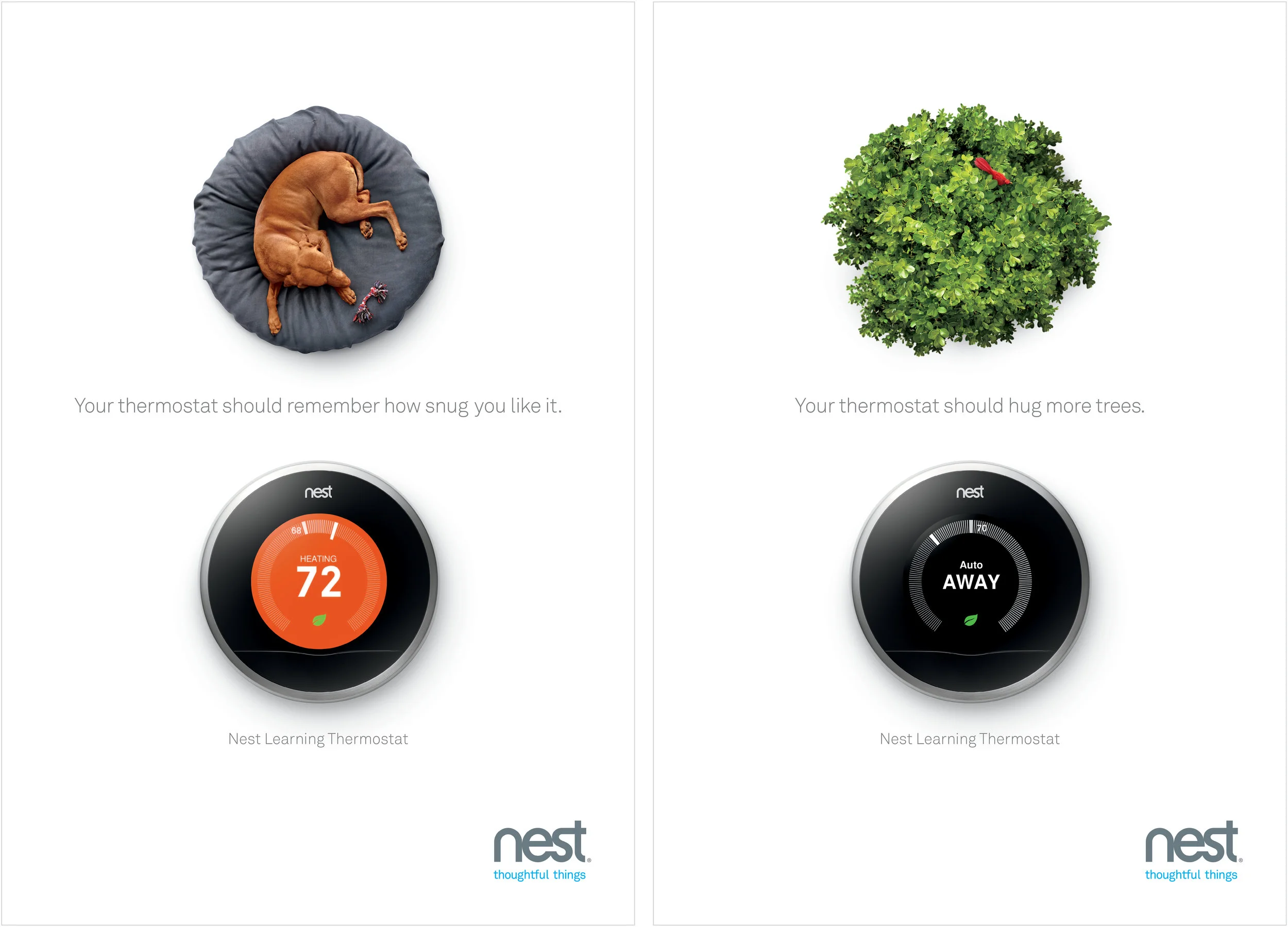 NEST2.jpg