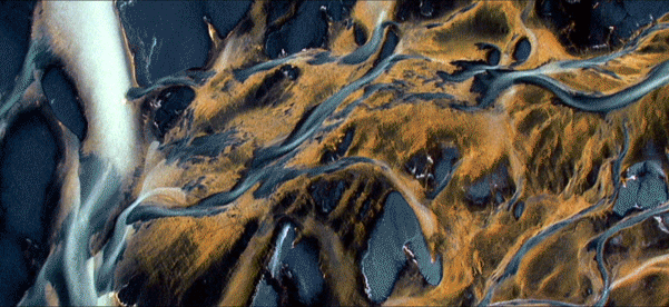 Untitled-35.gif