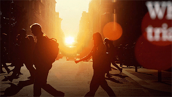 Untitled-1.gif