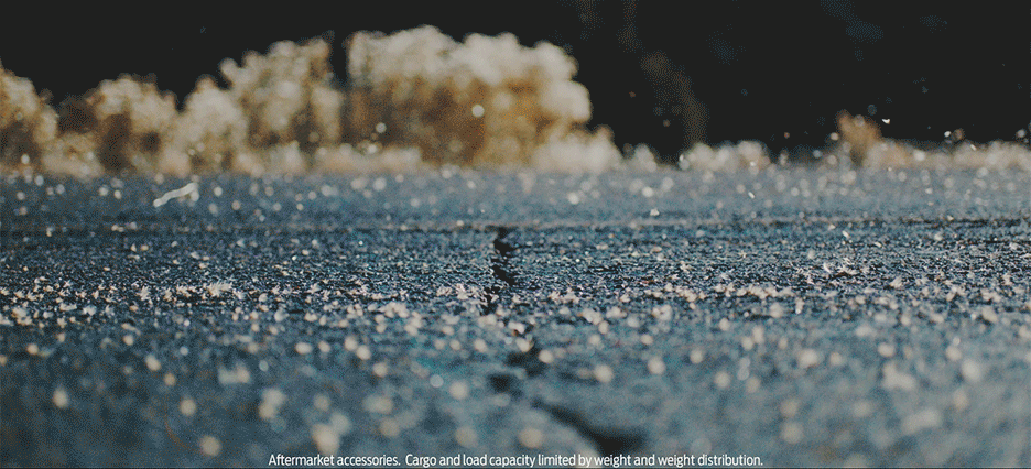 Untitled-2.gif