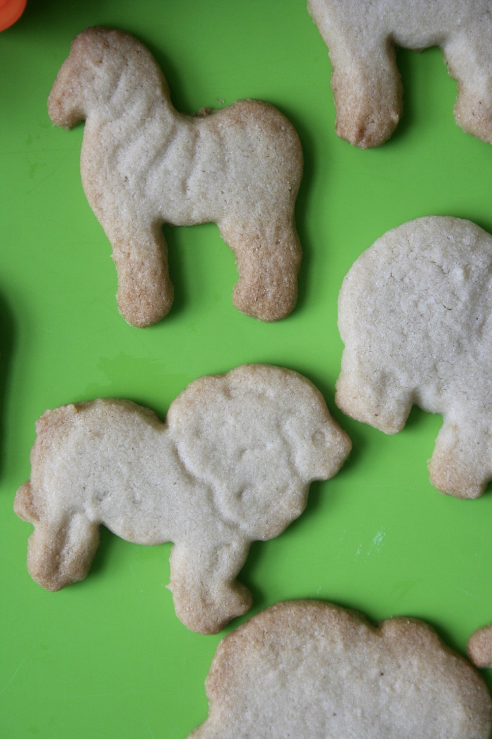 Cassava Animal Crackers — The Healthy Bambino Cassava Animal Crackers — The Healthy Bambino