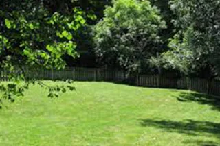 Backyard chicken potential rises