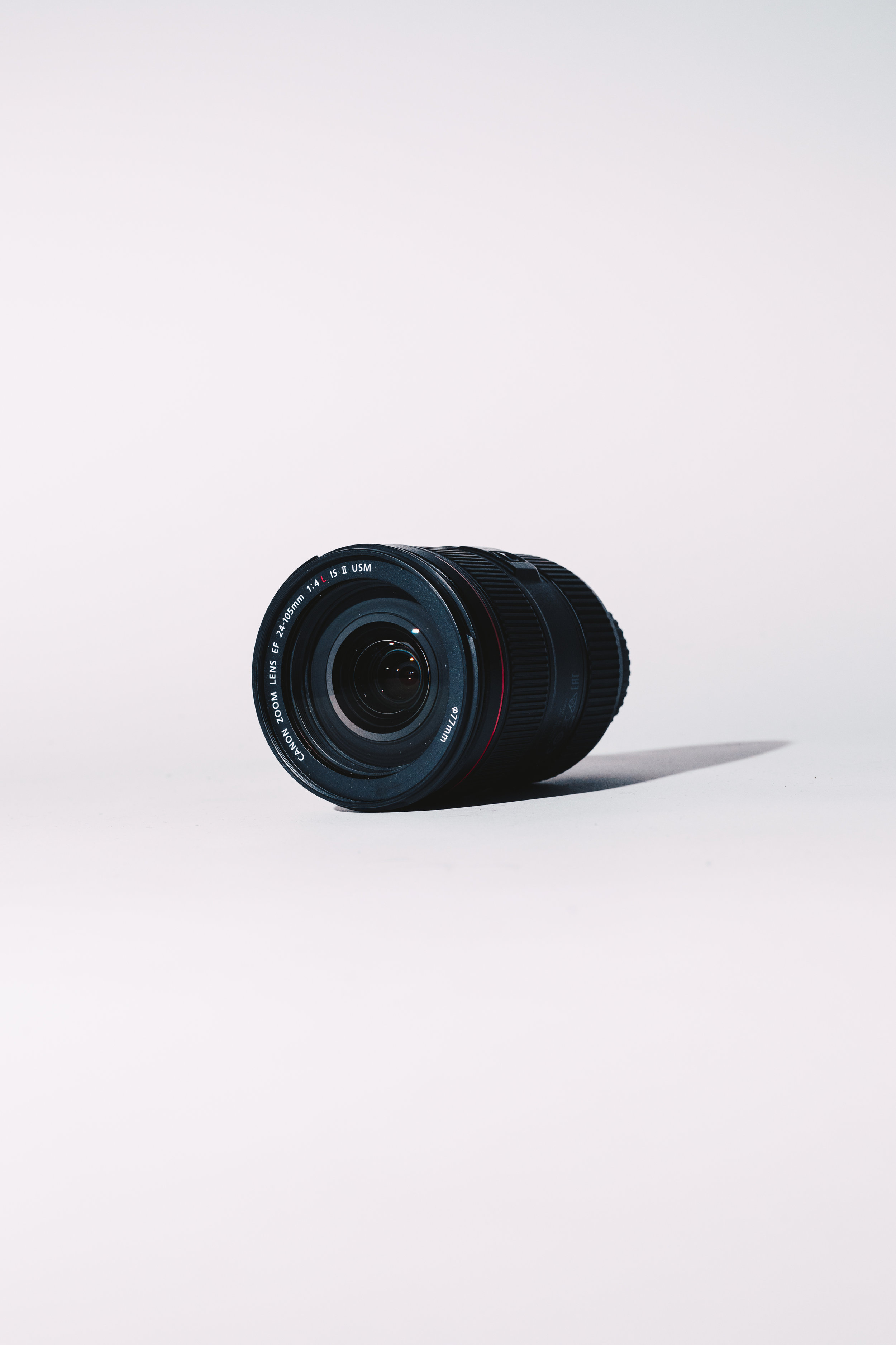 iggy, lens (1 of 1).jpg