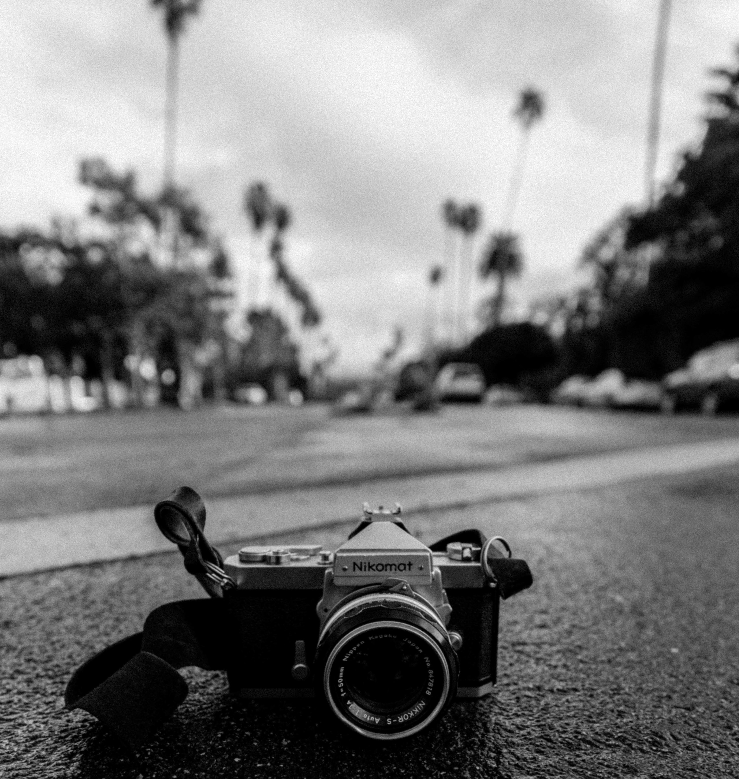 Photo Jan 09, 5 30 37 AM.jpg