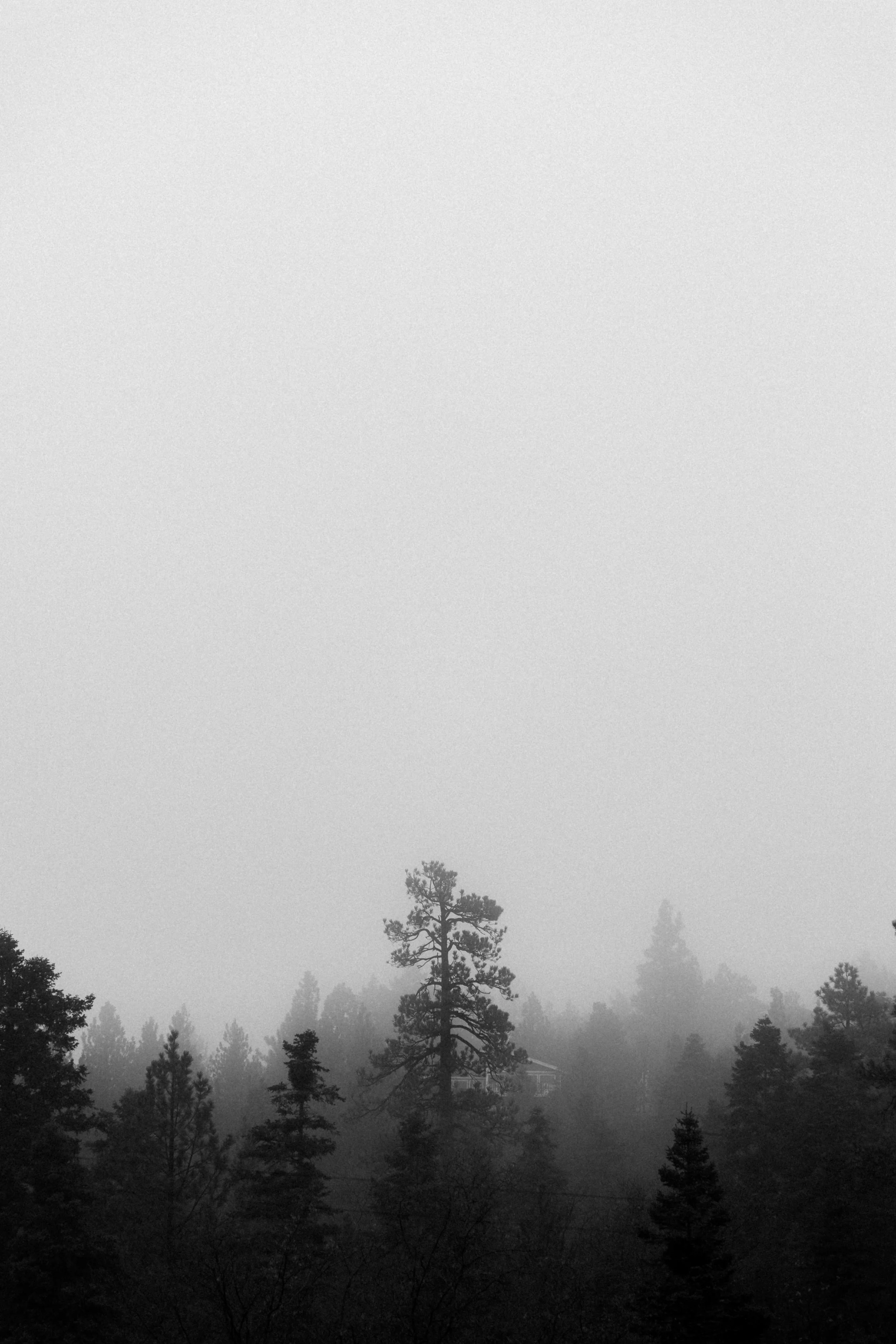 Photo Apr 12, 9 45 47 PM.jpg