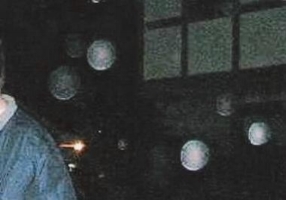 Description : Moisture Orbs