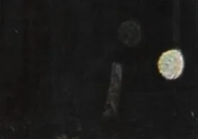 Description : Double Exposure