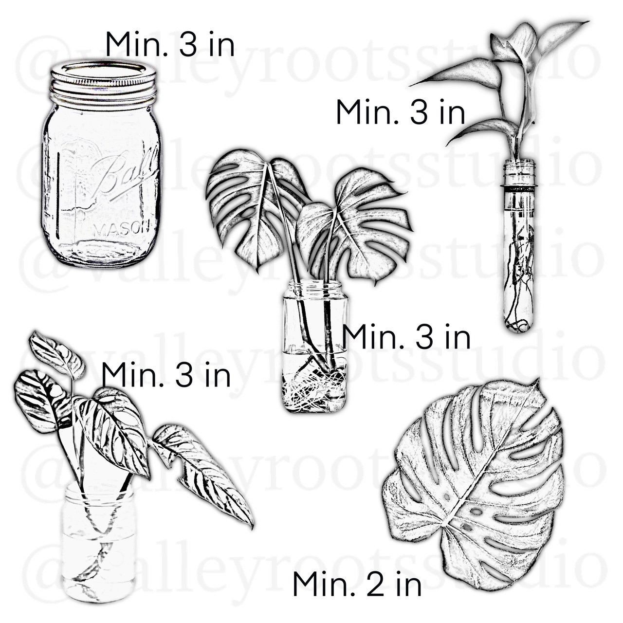 Micorealism: “Plants ‘N Jars”