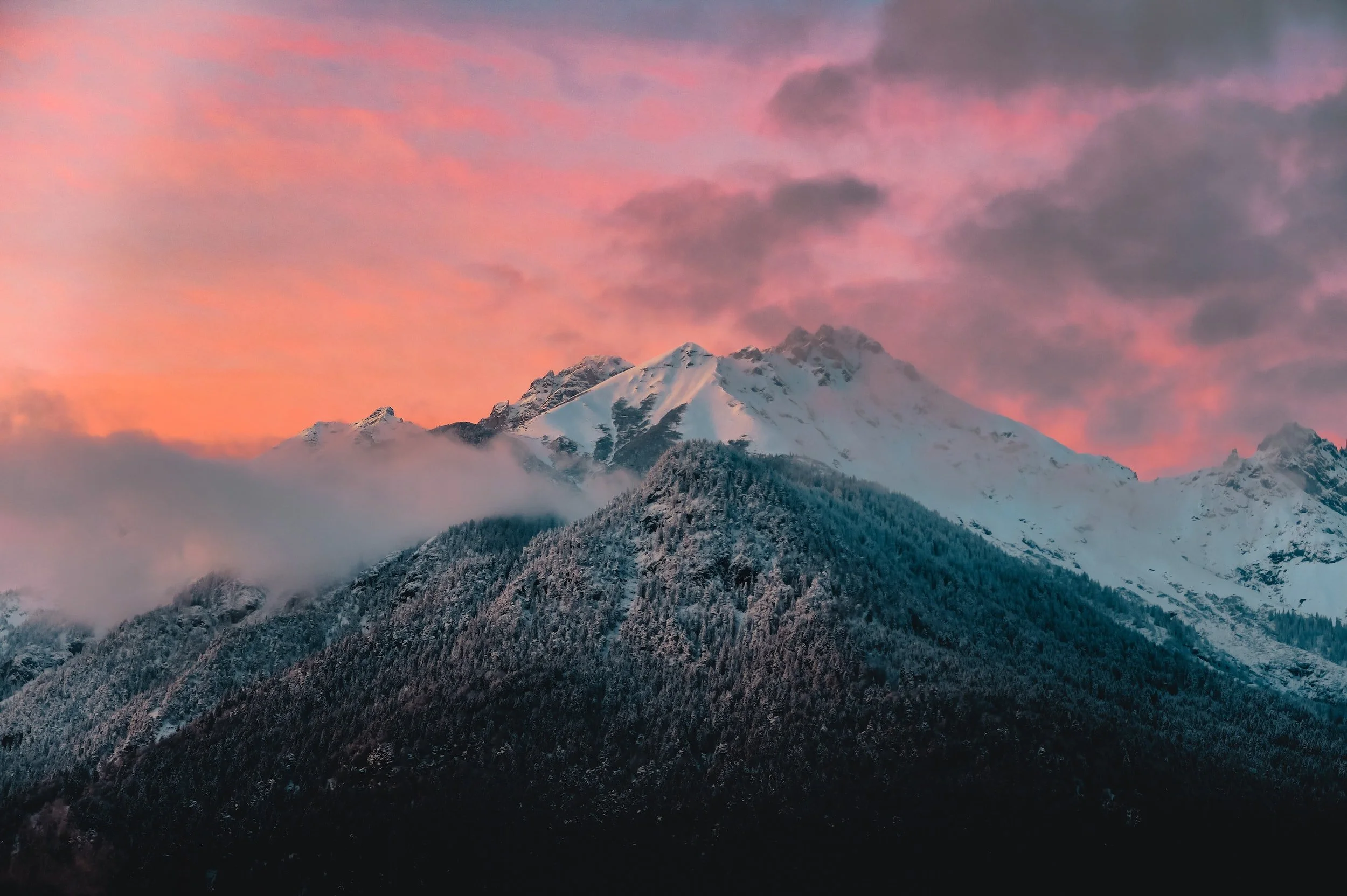 unsplash-image-lnXUcVVDpvc.jpg
