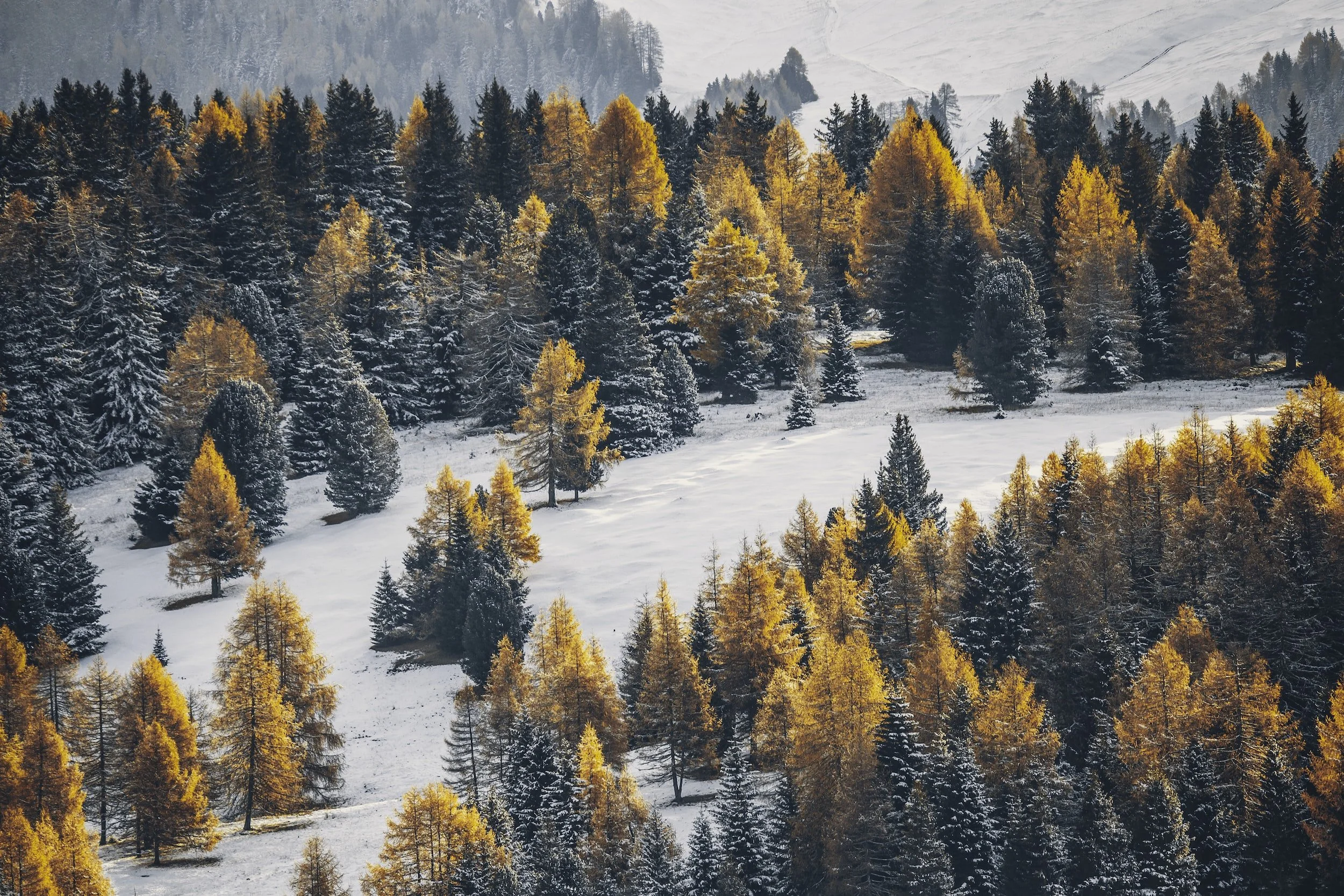unsplash-image-C51maGxvFB8.jpg