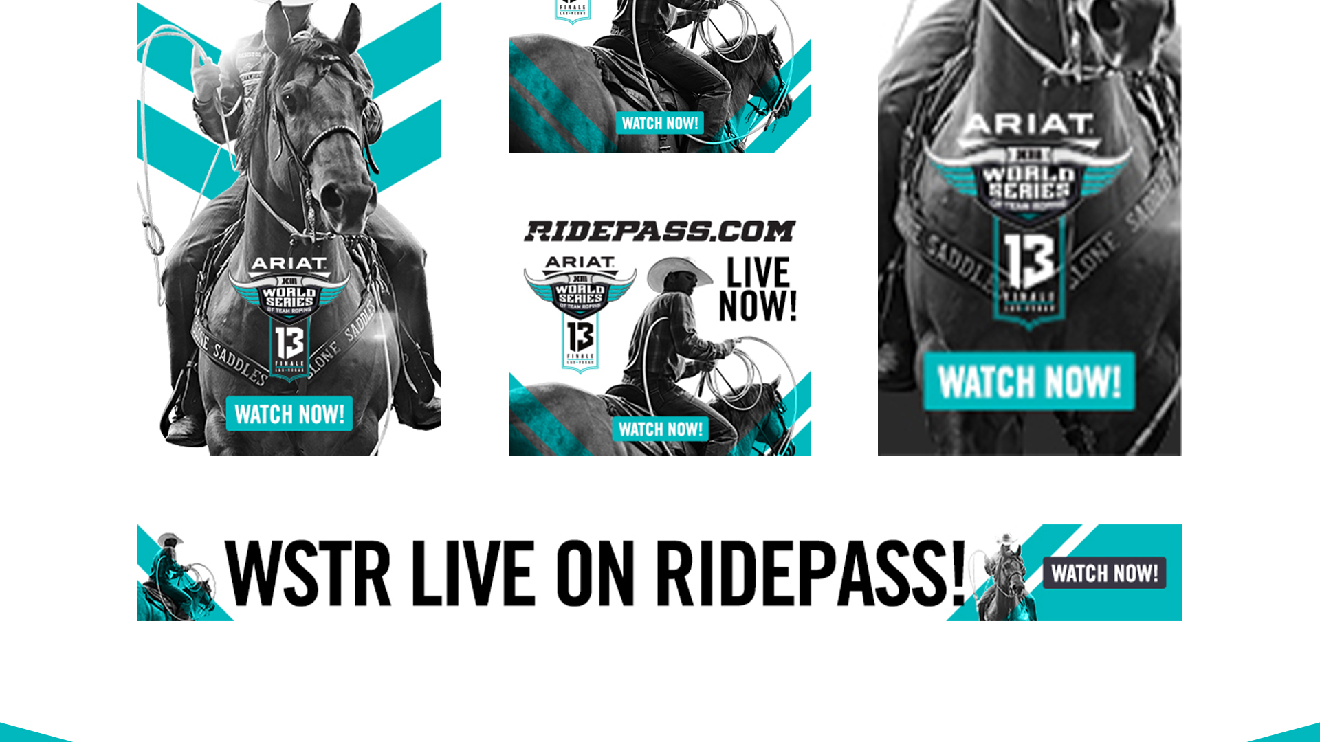 RIDEPASS_WSTR_2019_05.jpg