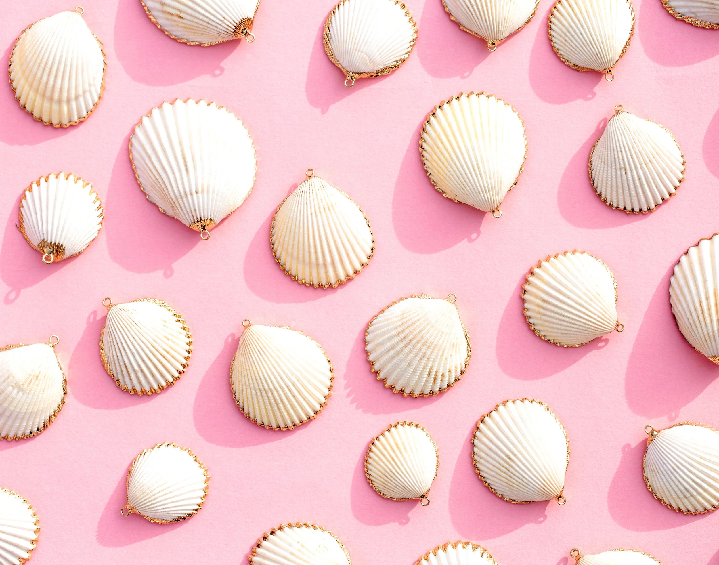 PalmBeachShells-14x11.jpg