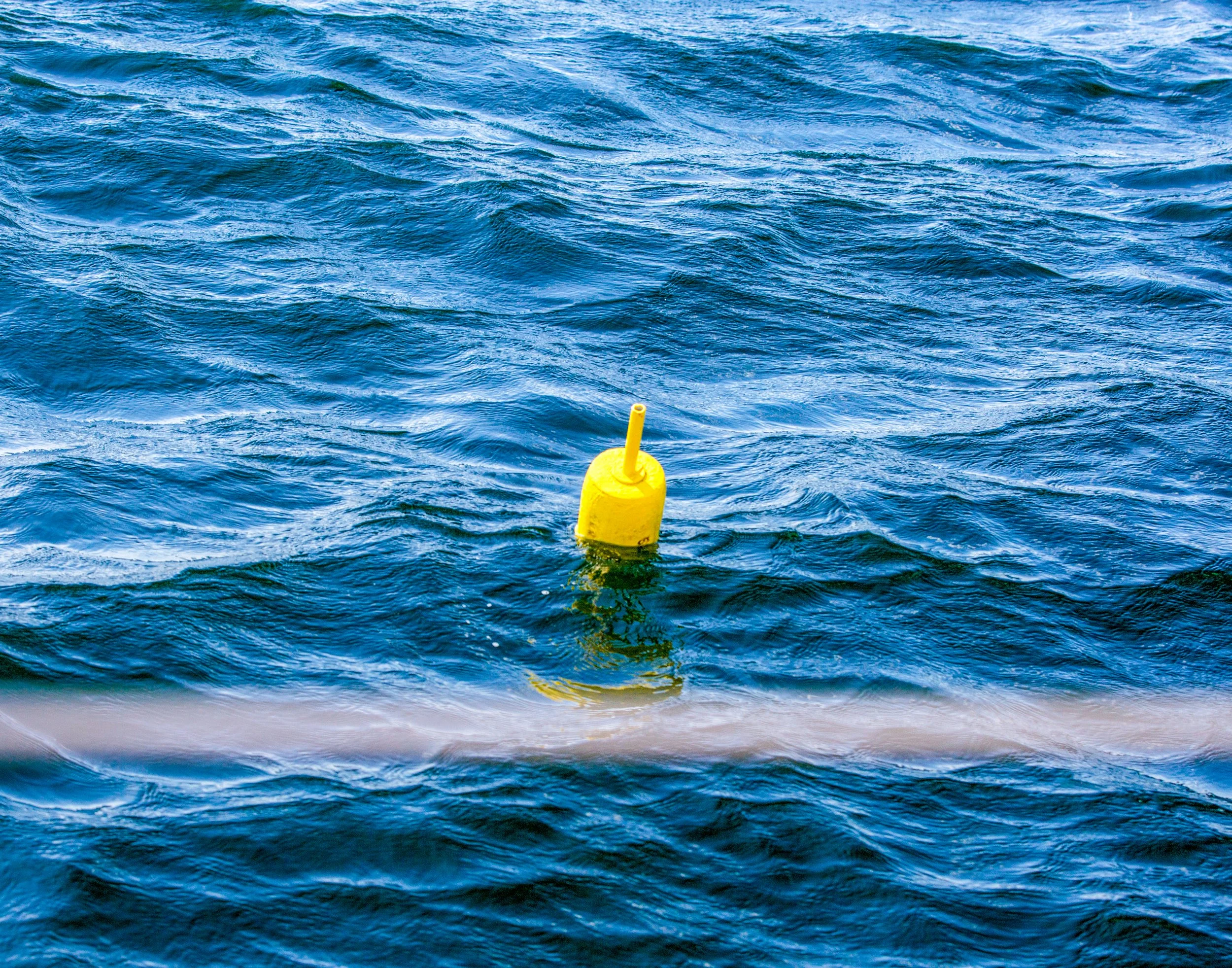 Maine Yellow