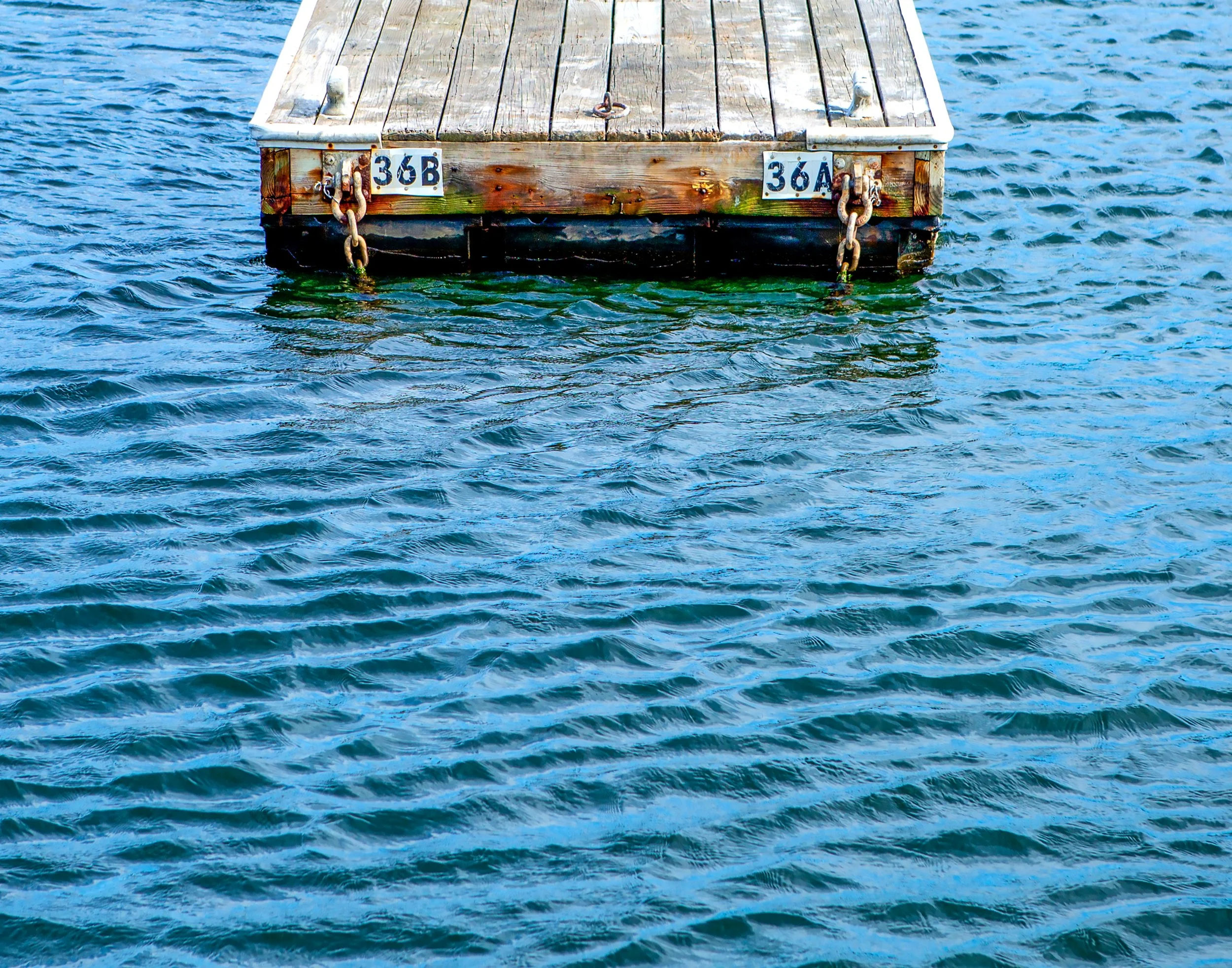 Inner Harbour Float
