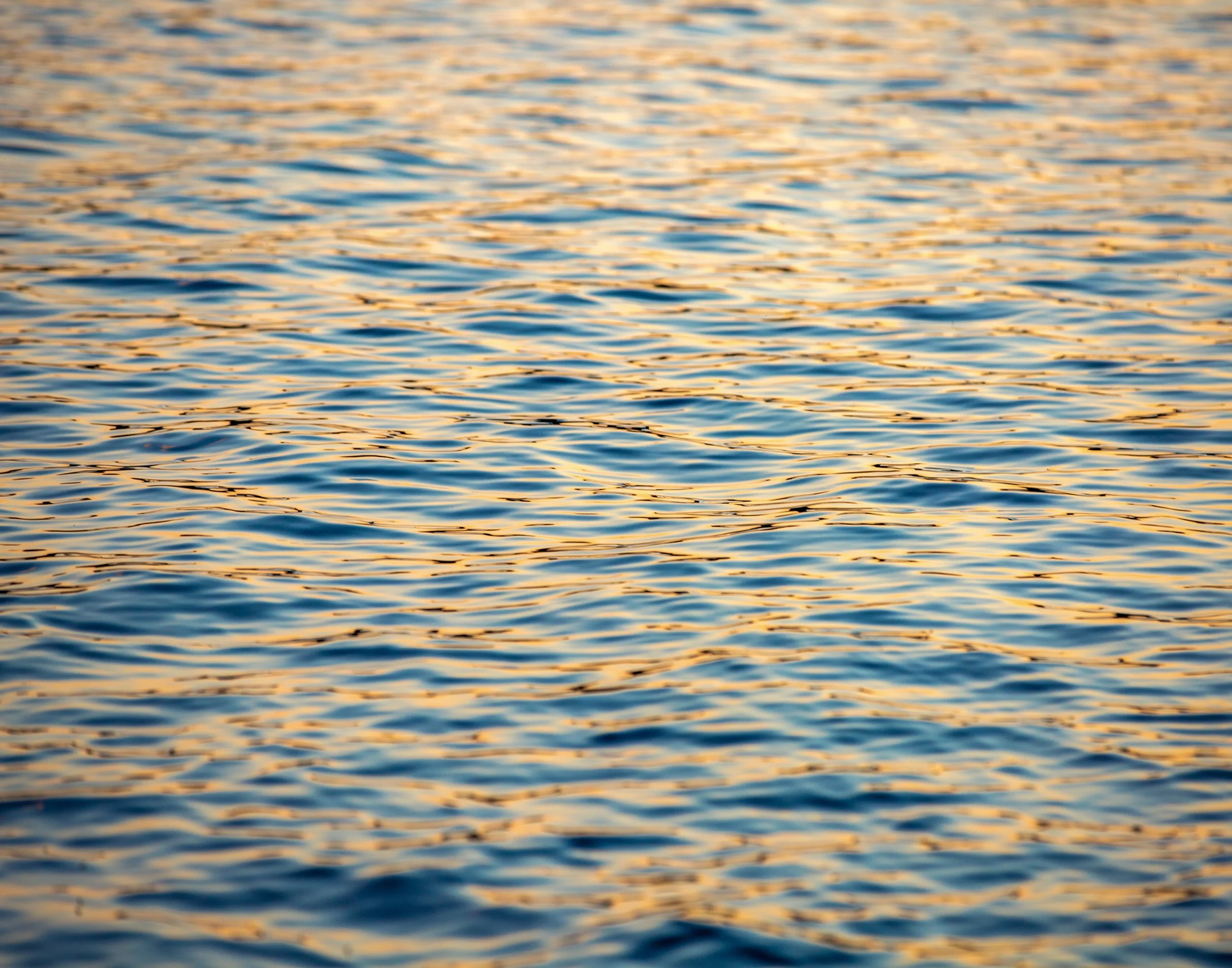 Maine Light