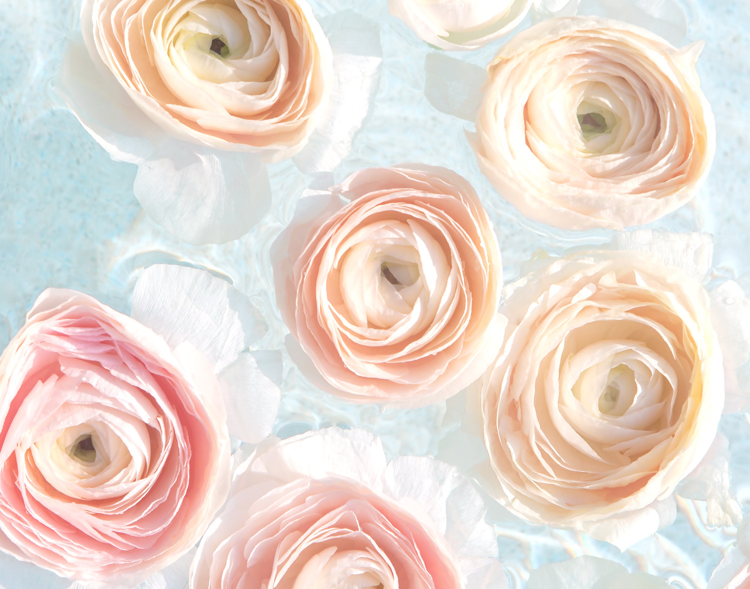 TWIRL-14x11.jpg
