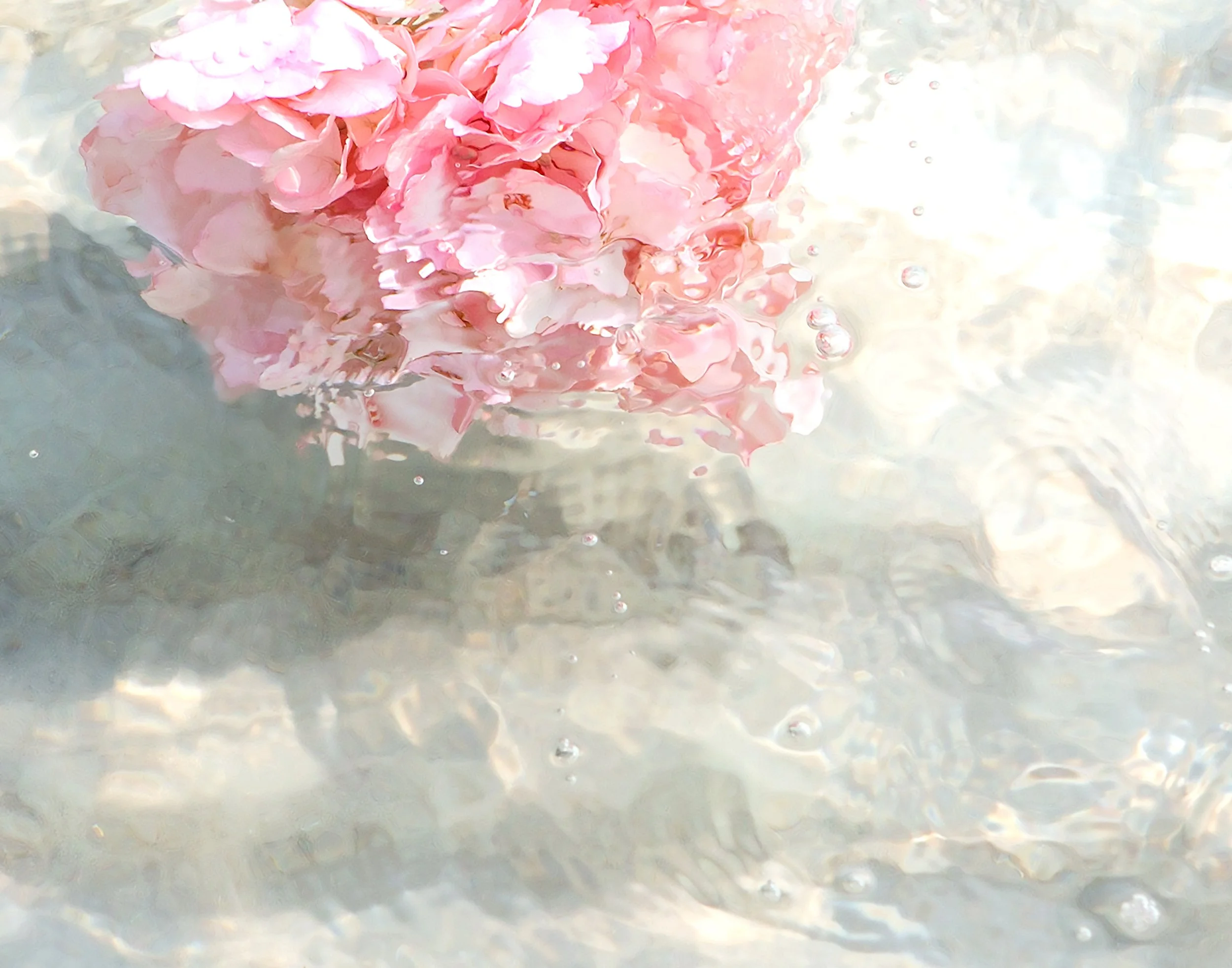 Underwater-14x11.jpg