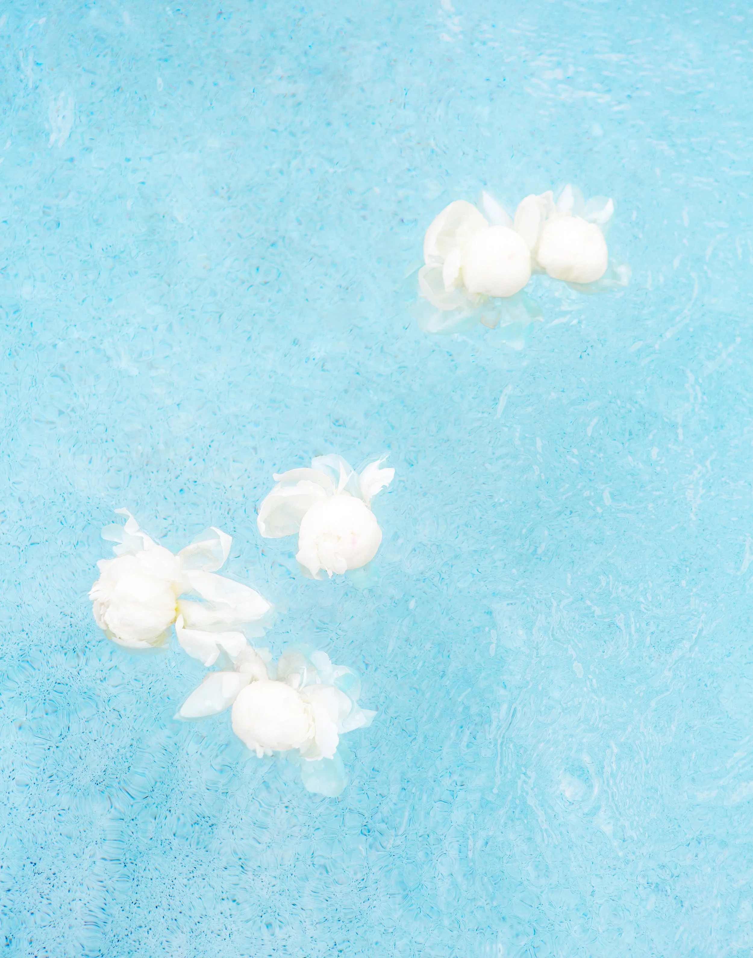 PoolBouquet-11x14.jpg