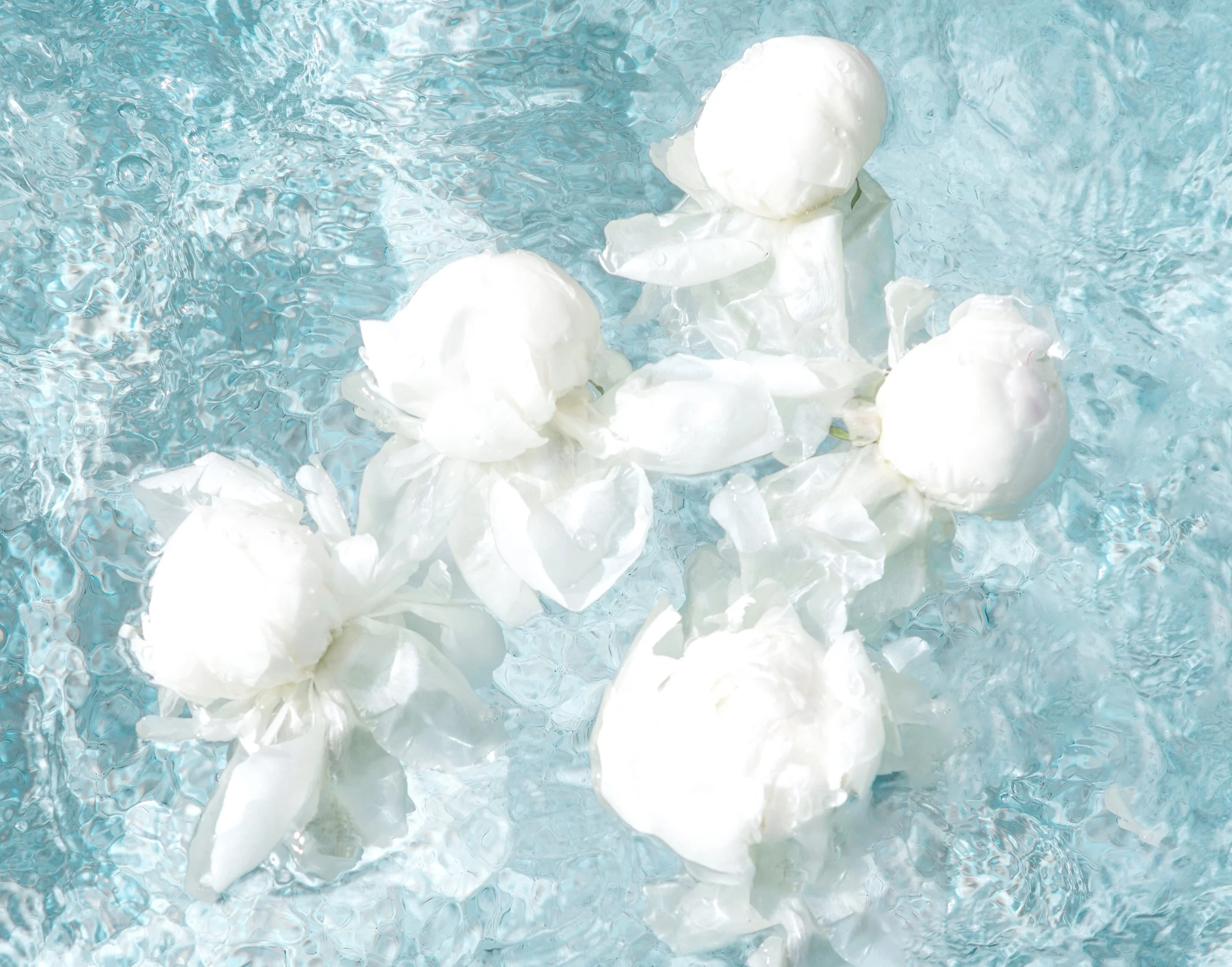 Bridesmaids-14x11.jpg