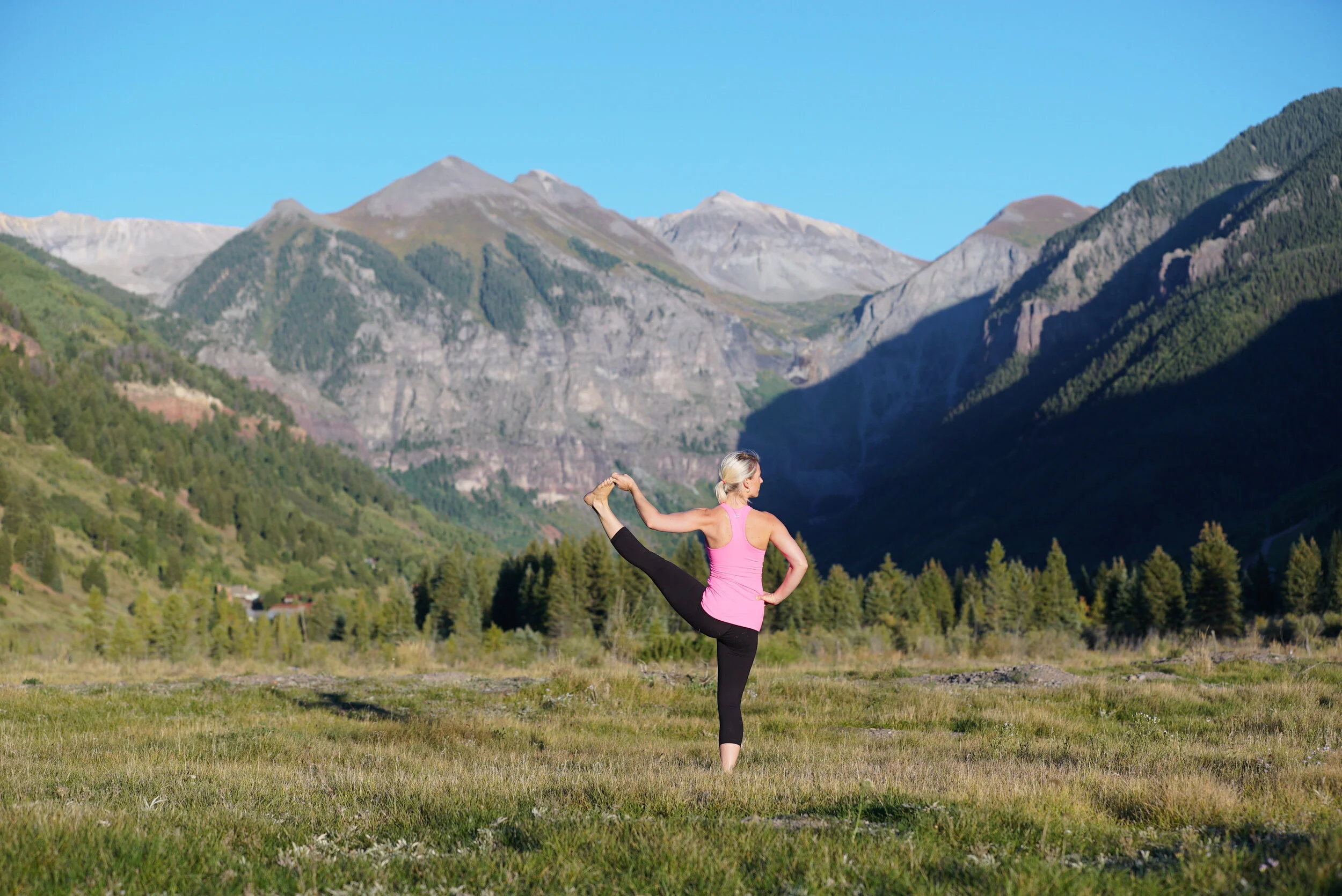 AYT June Schedule and News