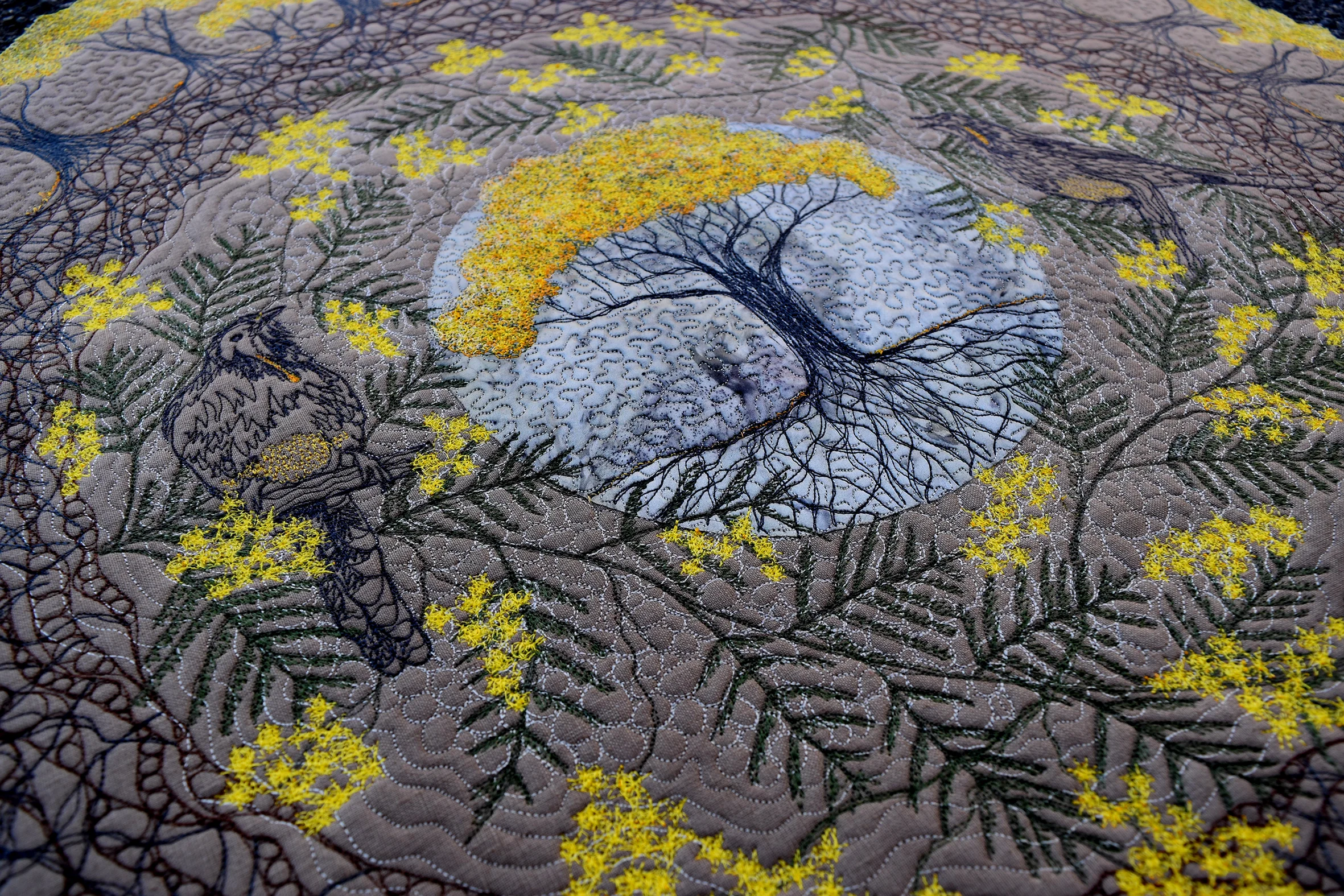 spring wattle close.jpg