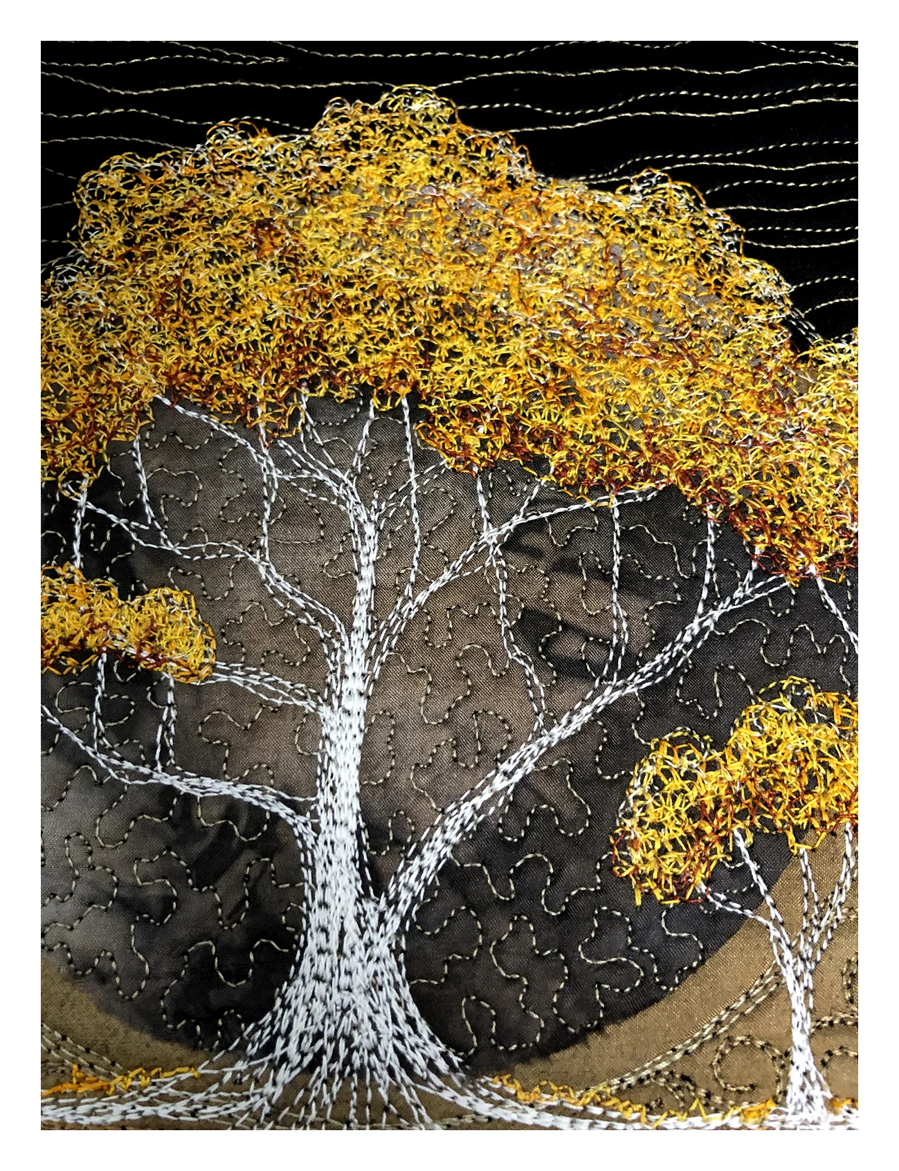 trees 1008.jpg