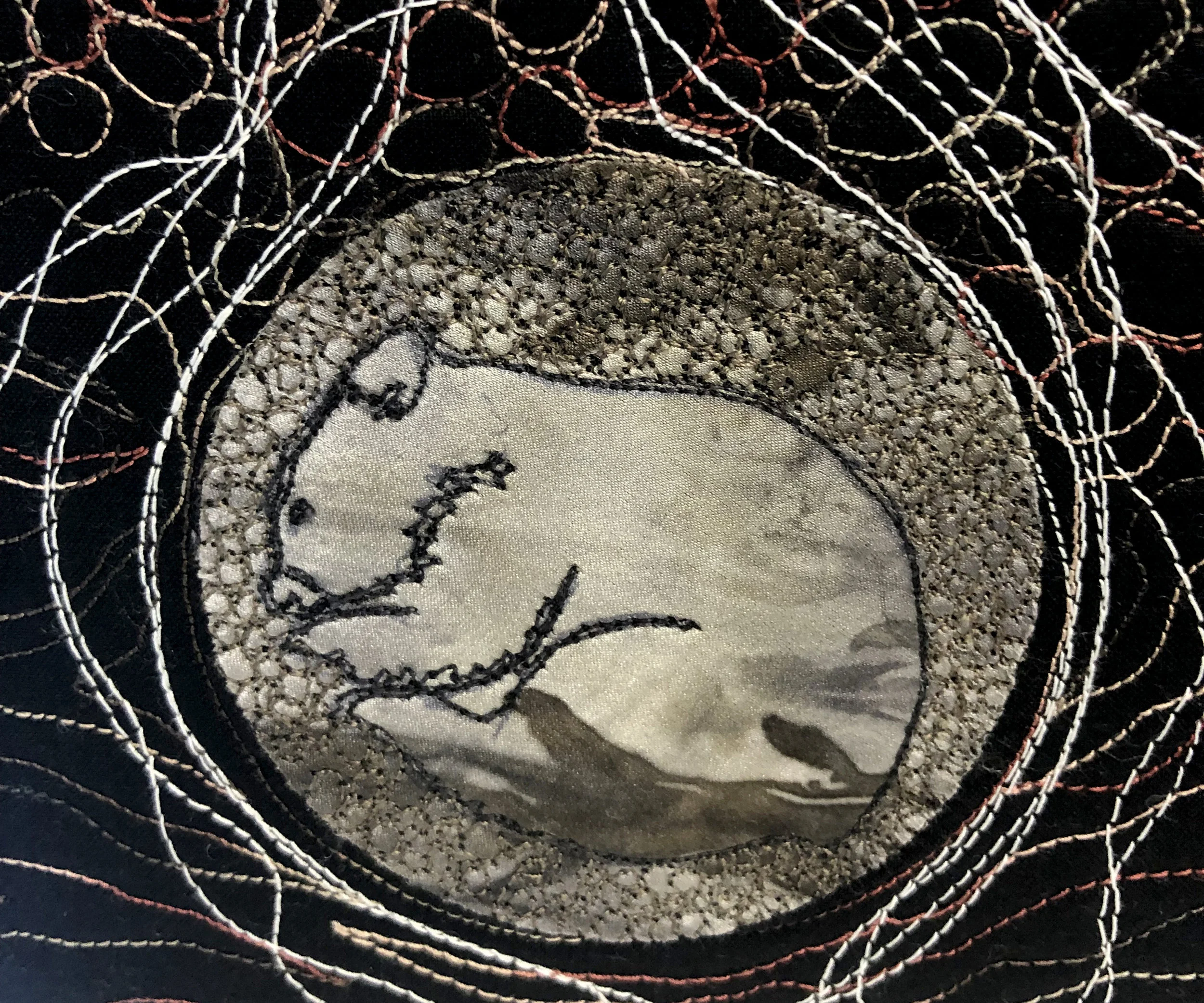 tree number 1036 wombat.jpg